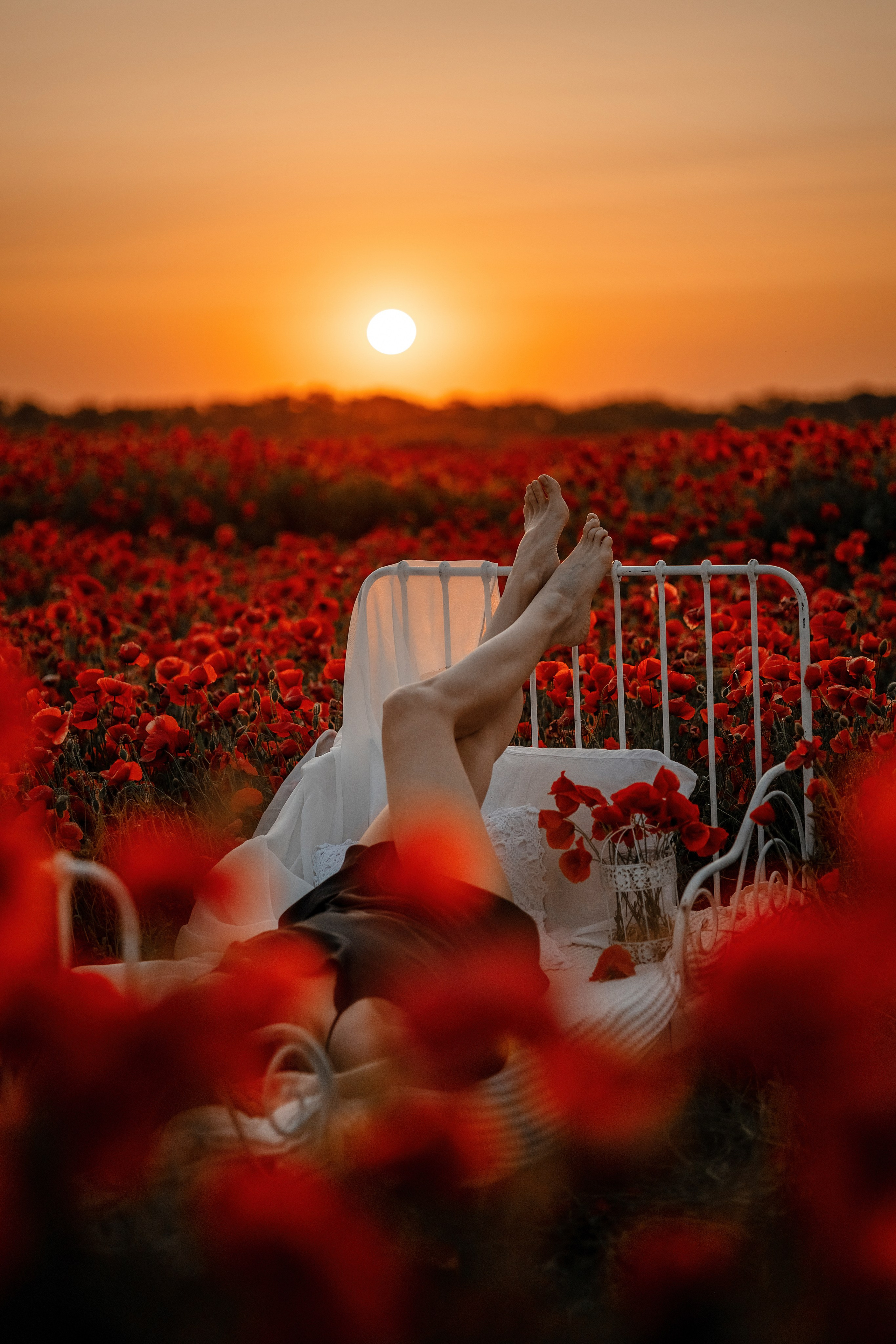 Яркие маки. Художественный фотограф Анапа Александра Долбикова