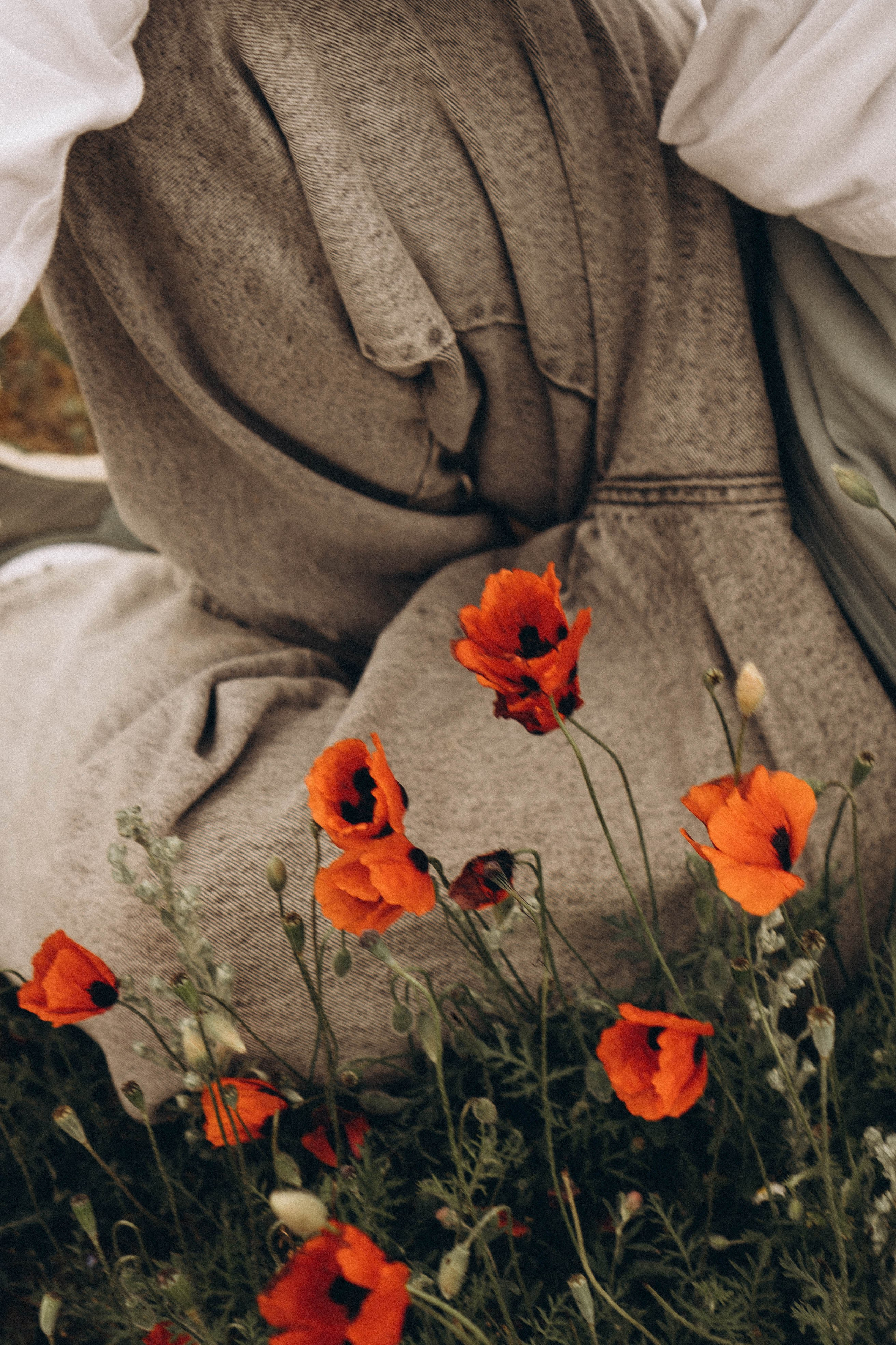 Маки. Профессиональный фотограф, Санкт-Петербург — Виктория Богомолова
