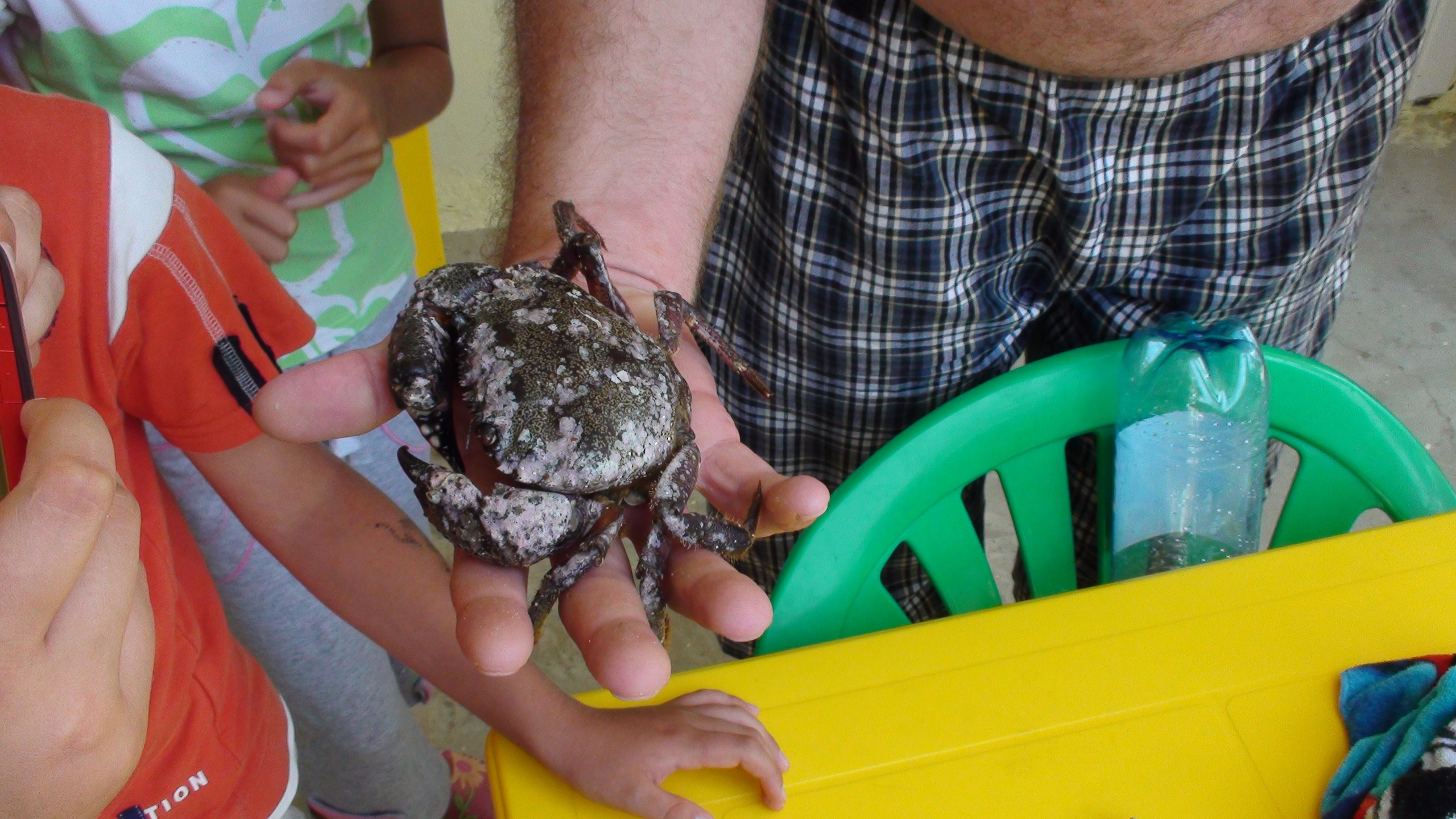 Отпуск 27.05-16.08. Семейный, Свадебный фотограф СПБ Питер— Романова Екатерина