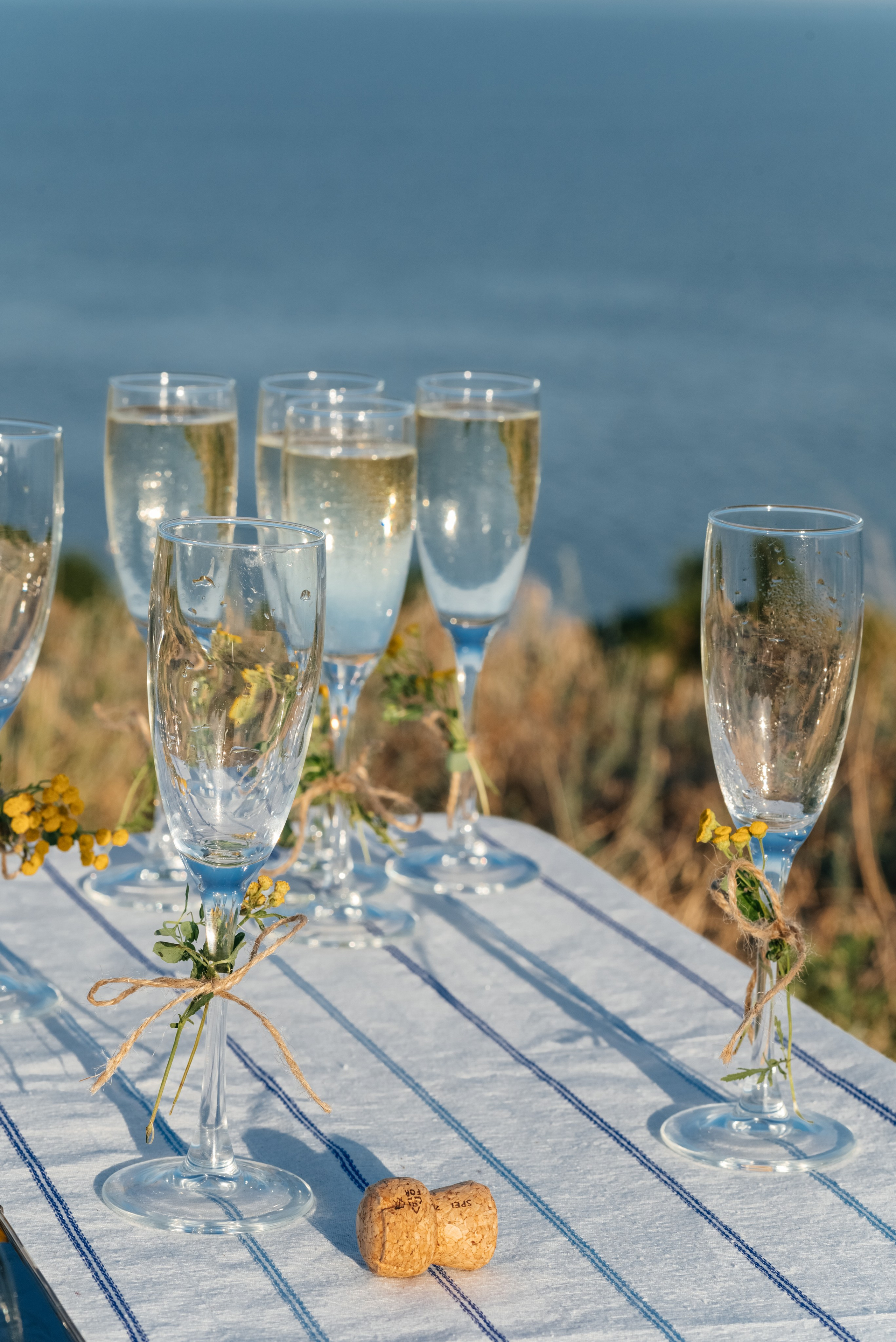 Трапези. Мержаново — гастроужин. Фотограф Елена Кучук