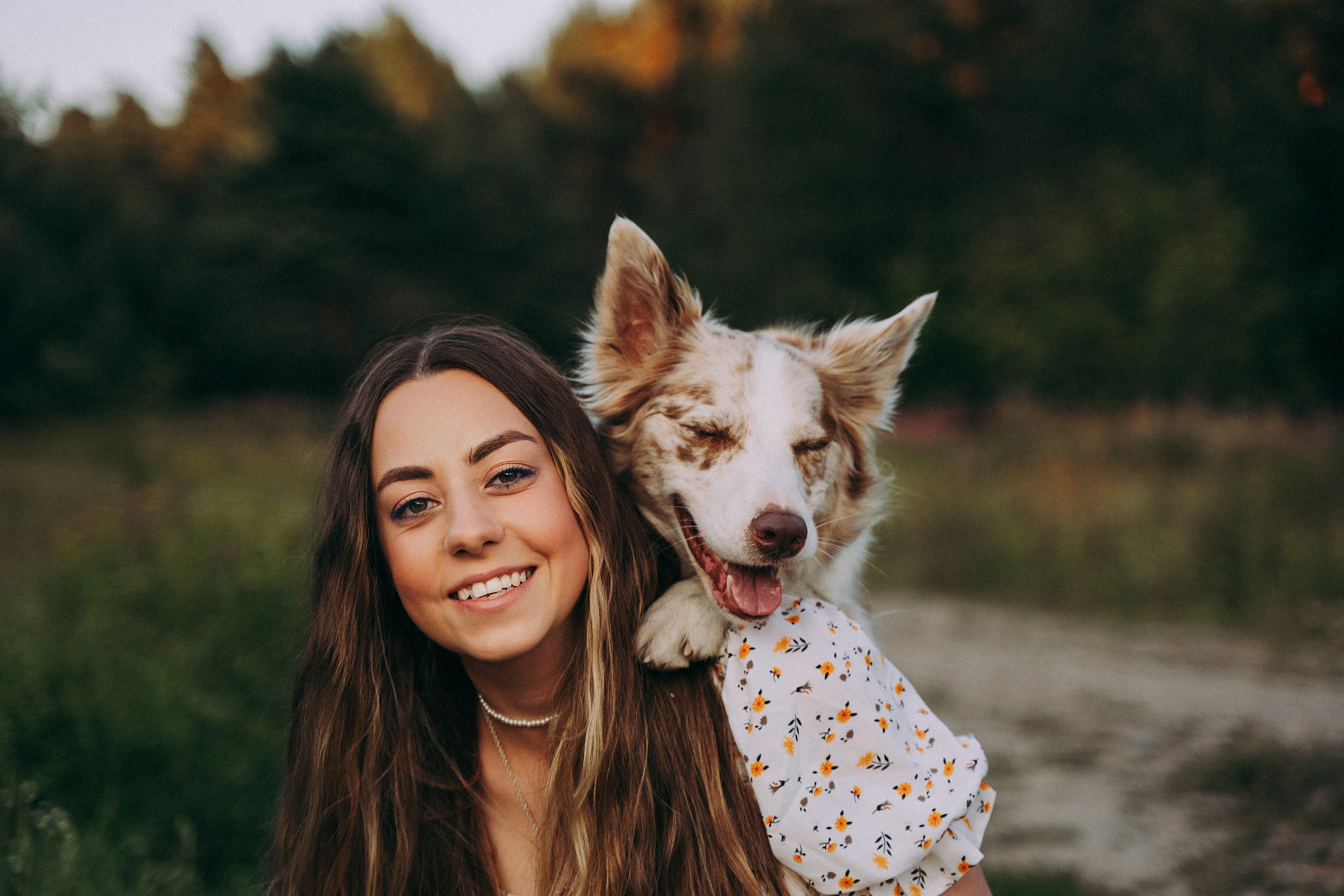 Хвостики. Главная