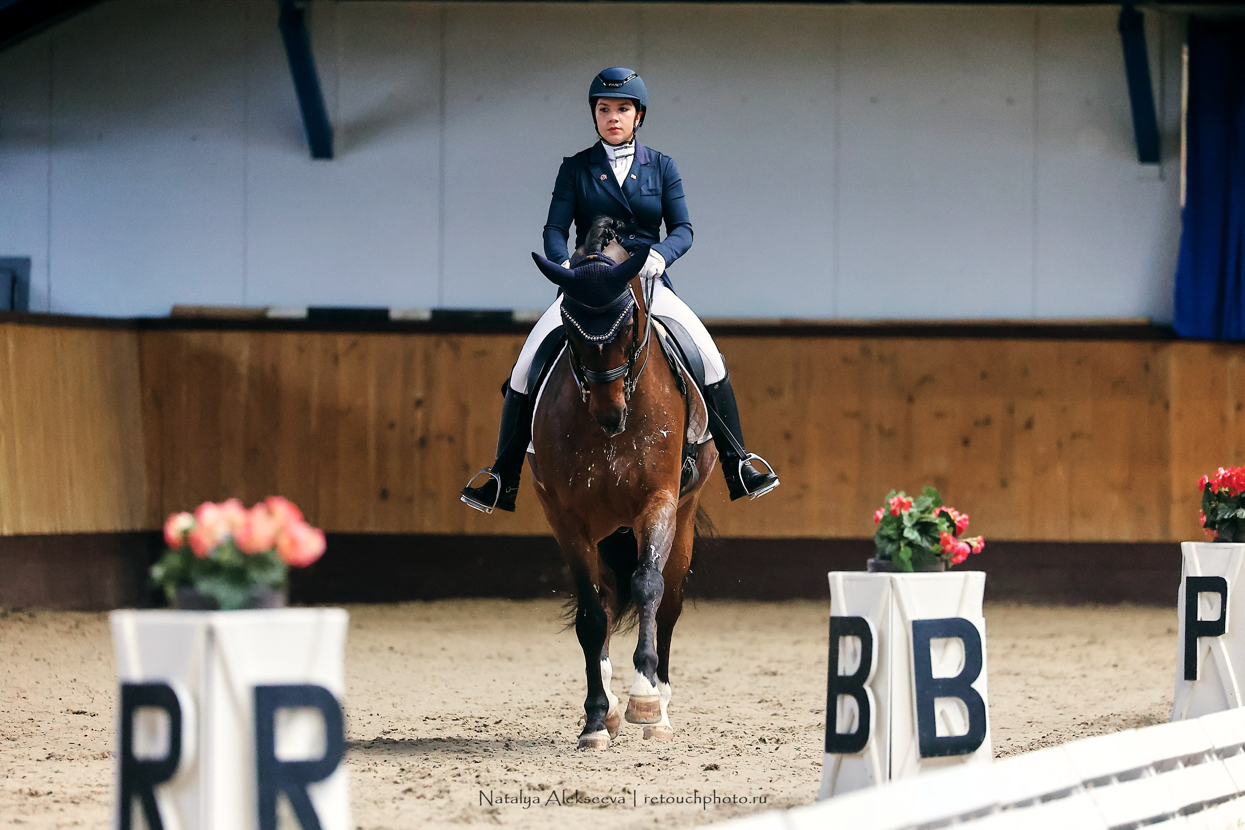 Звезды Евразии по выездке, Минск | 10'2023. Репортажный фотограф и ретушер в Москве Наталья Алексеева