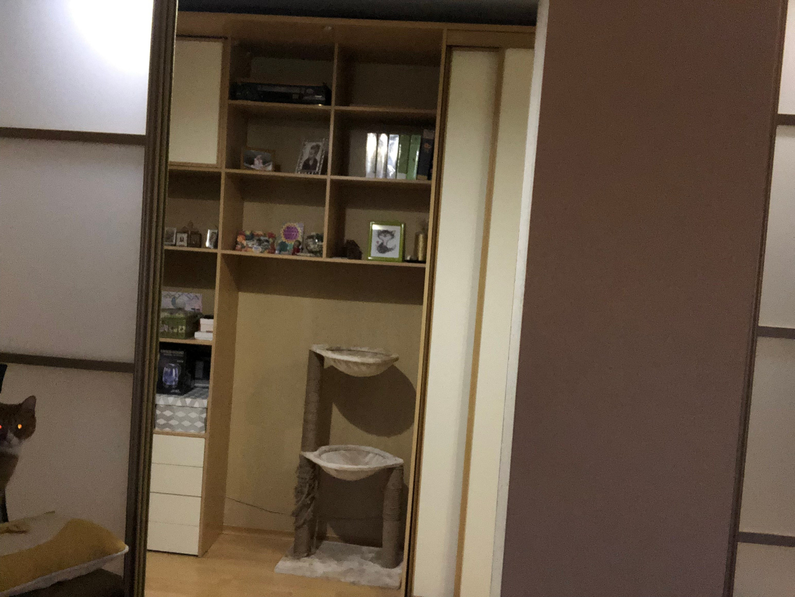 Ноябрь. Семейный, Свадебный фотограф СПБ Питер— Романова Екатерина