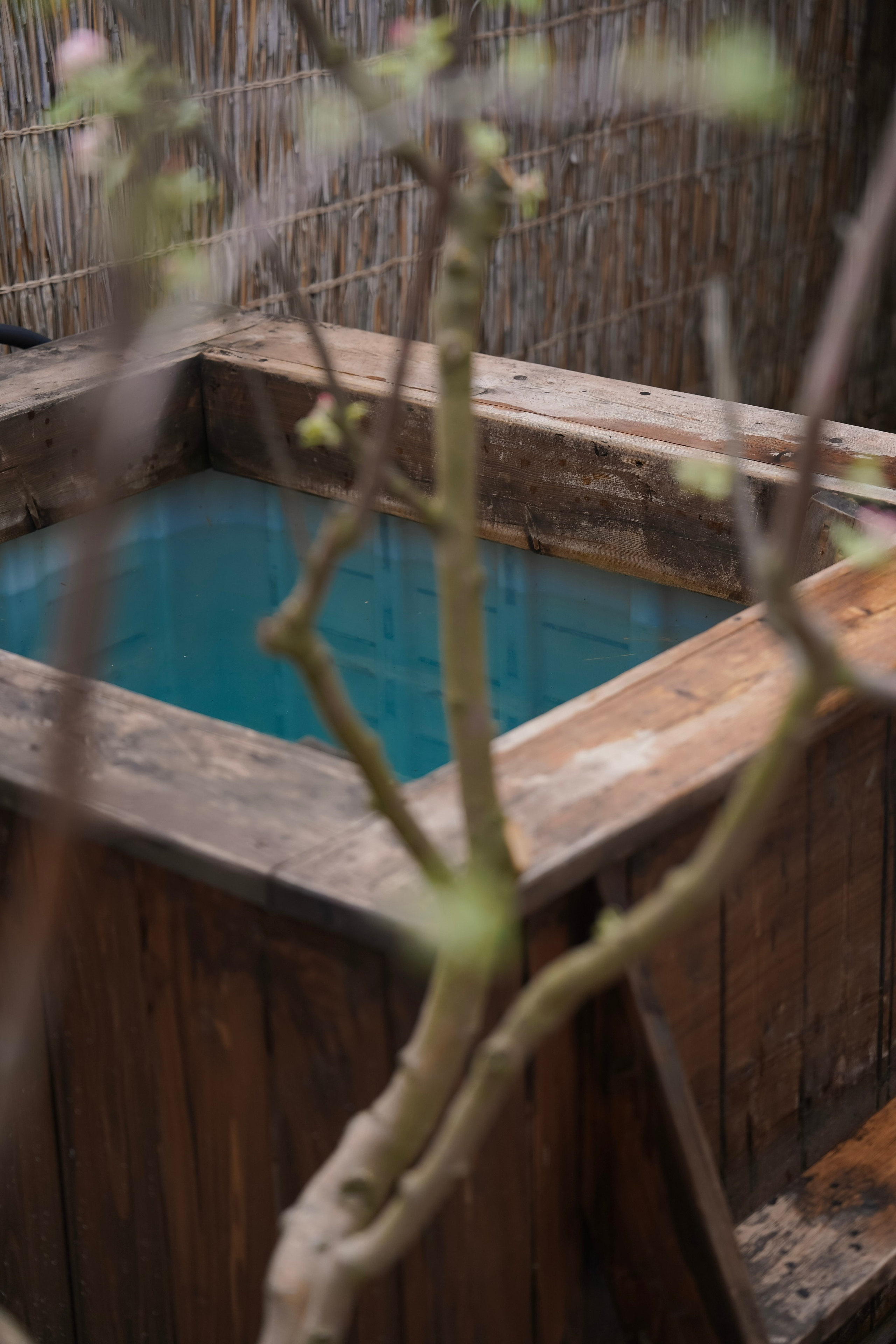 Девичник в глэмпинге. Фотограф с психологическим образованием