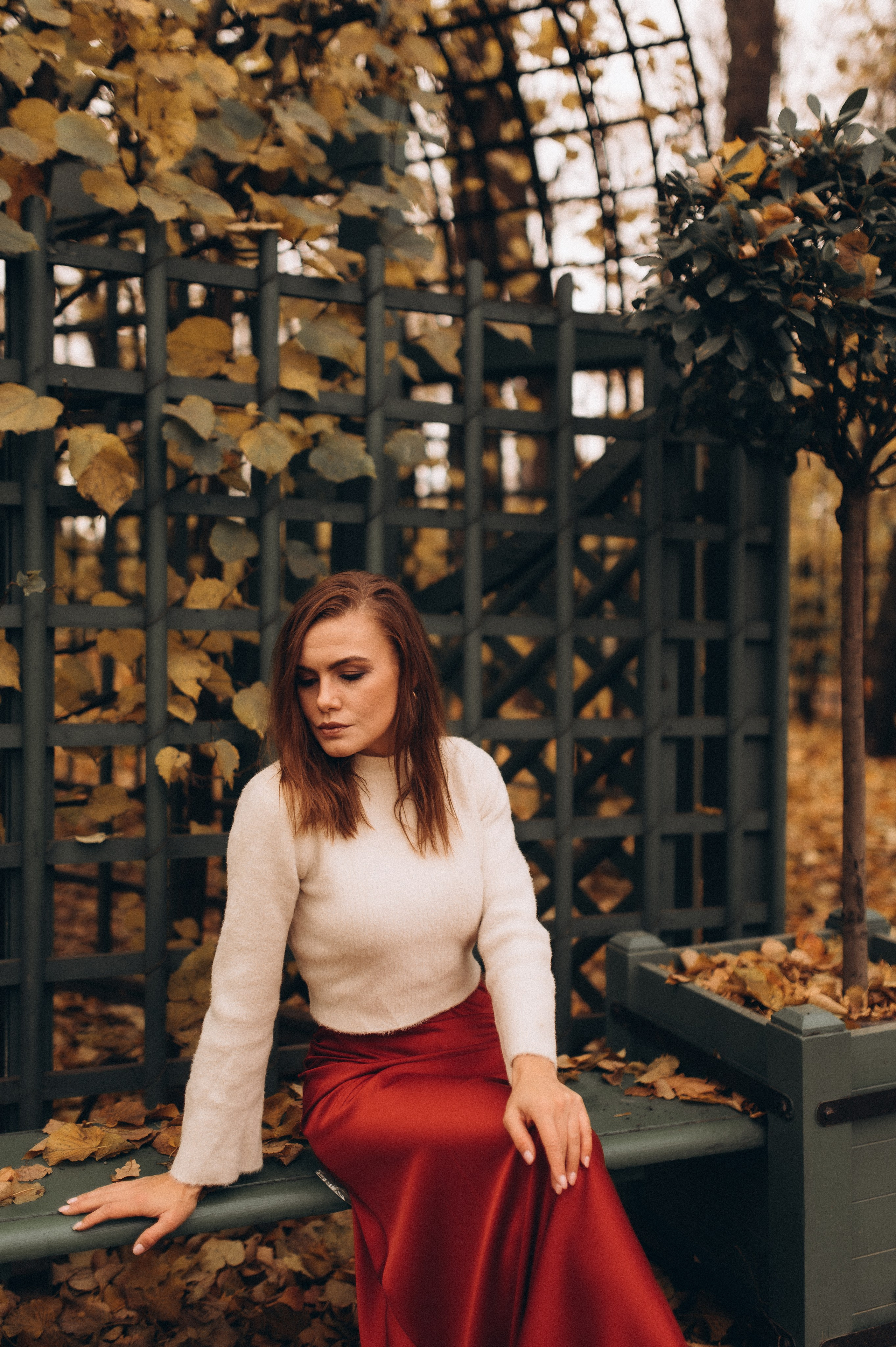 Осенняя индивидуальная фотопрогулка летний сад. Фотограф ПИТЕР СПБ Надежда Баранова