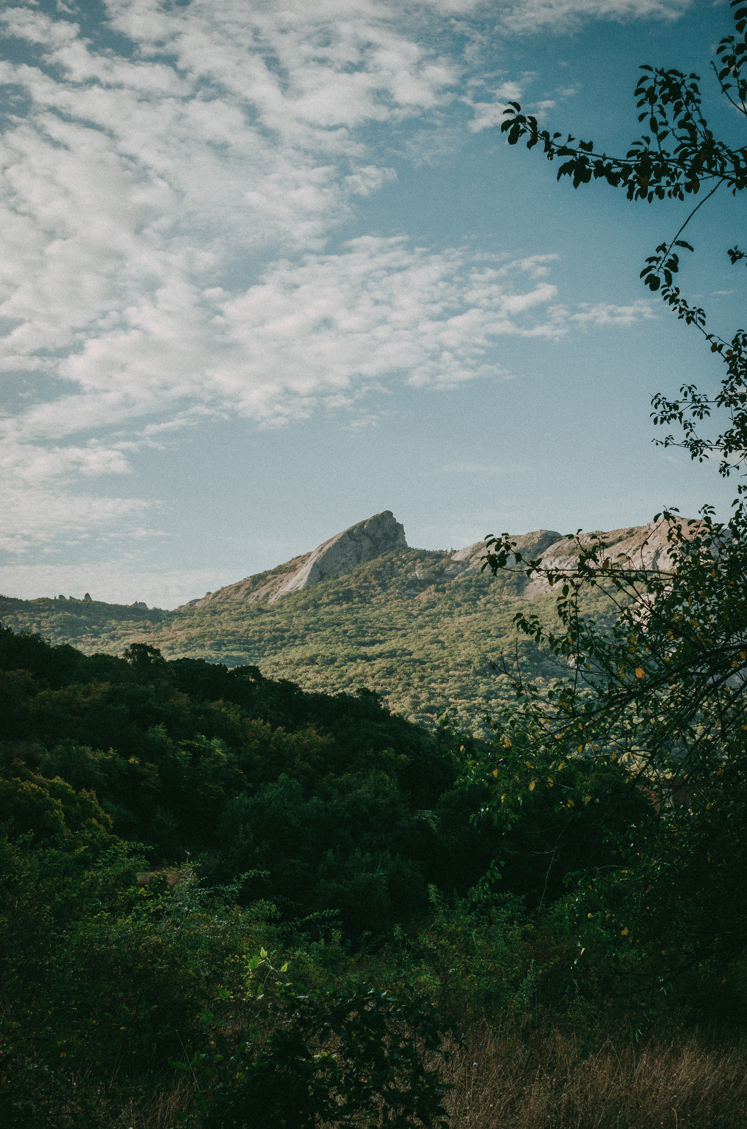 Спортивный репортаж