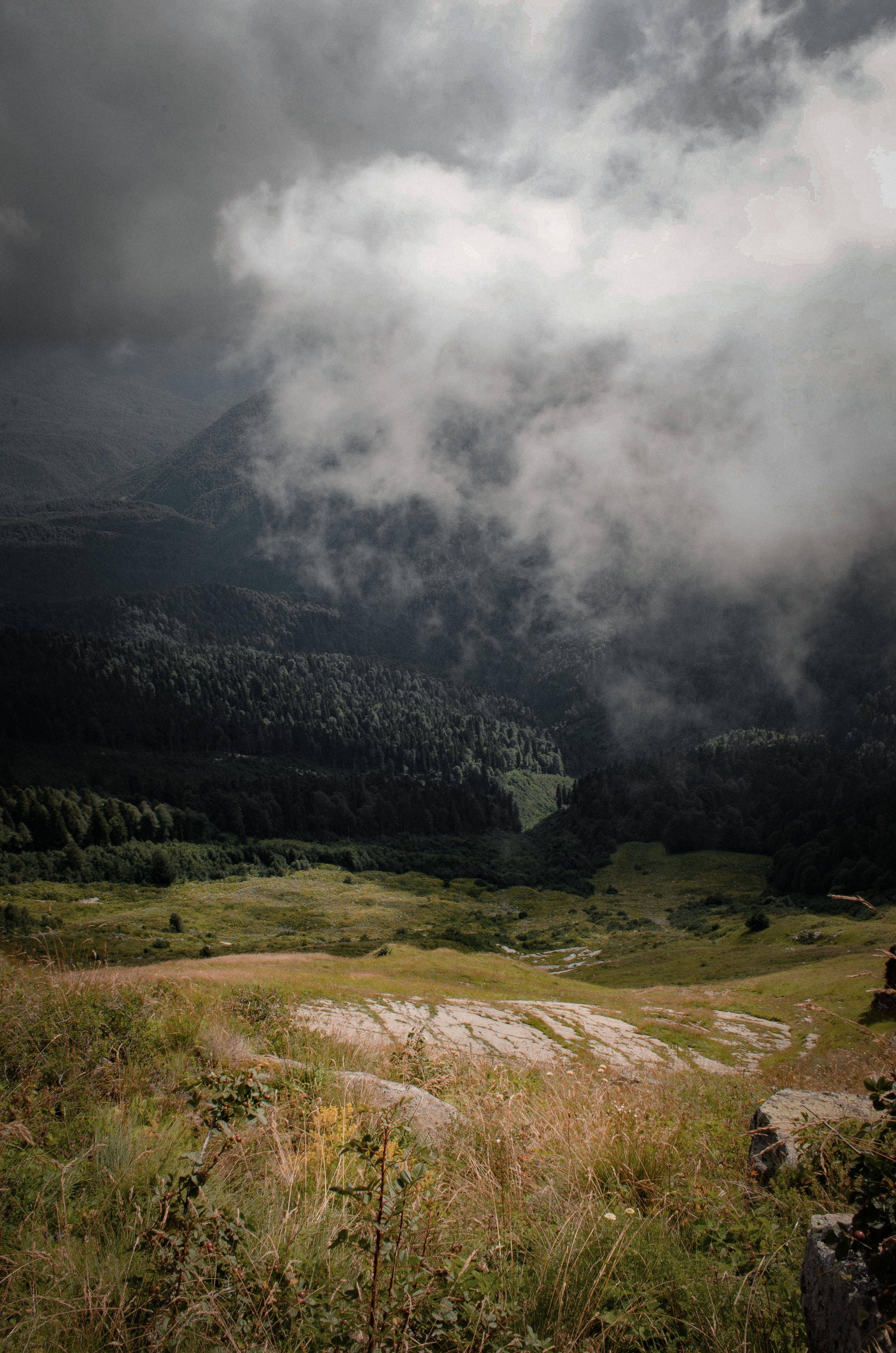 Спортивный репортаж