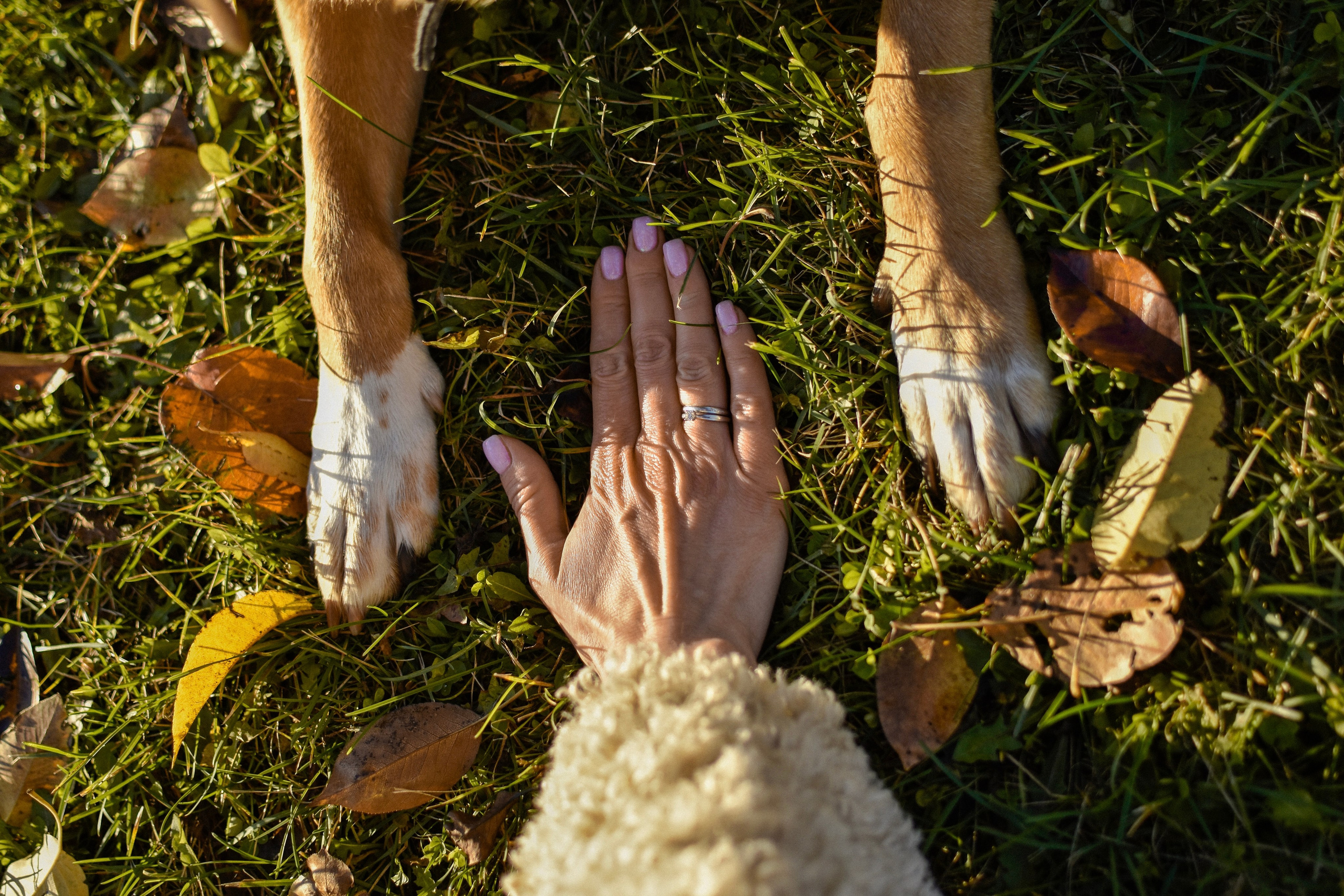 Ричард и Алёна. Фотограф-анималист Ксения Шевцова|Москва