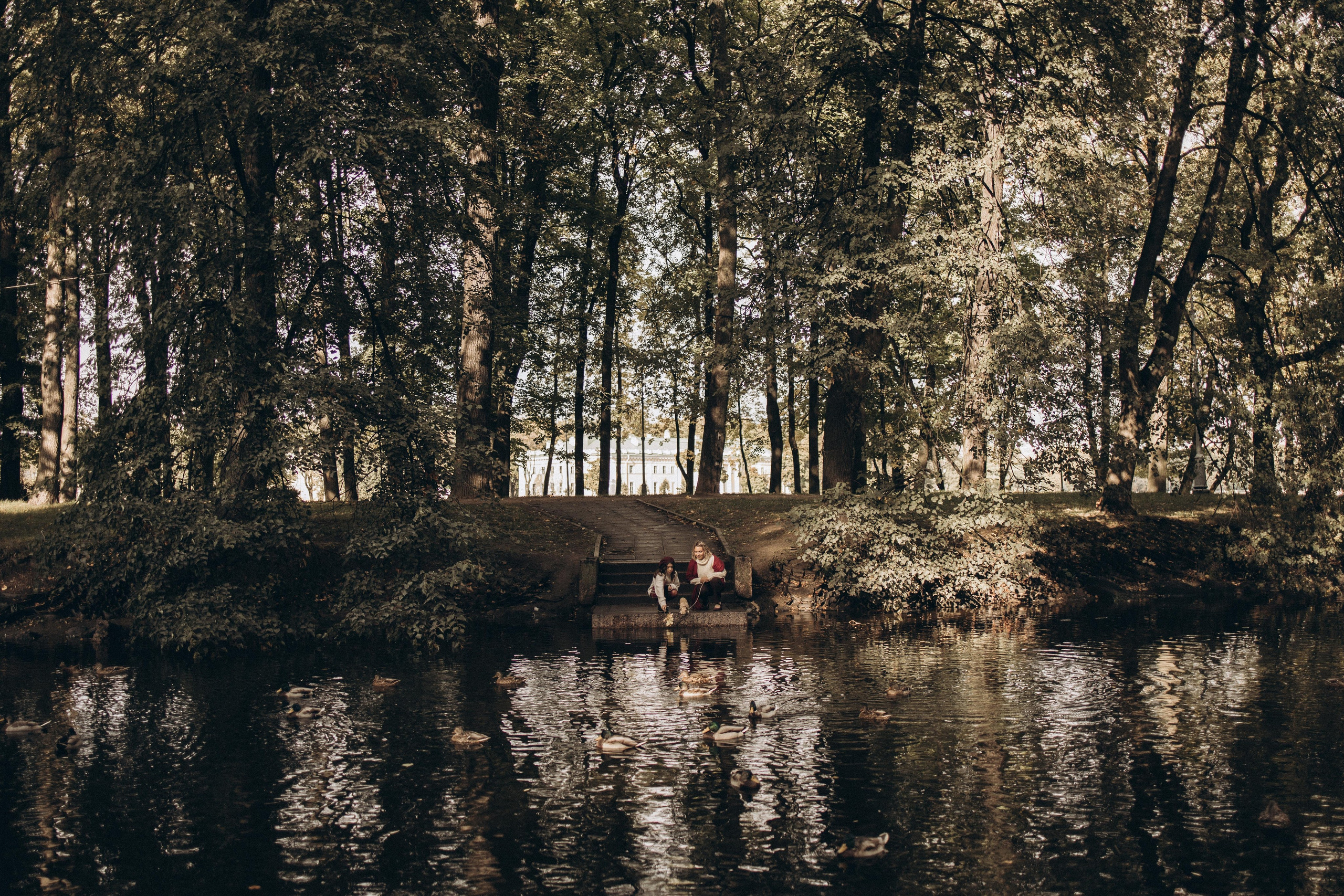 дальний план видна локация красивый пруд