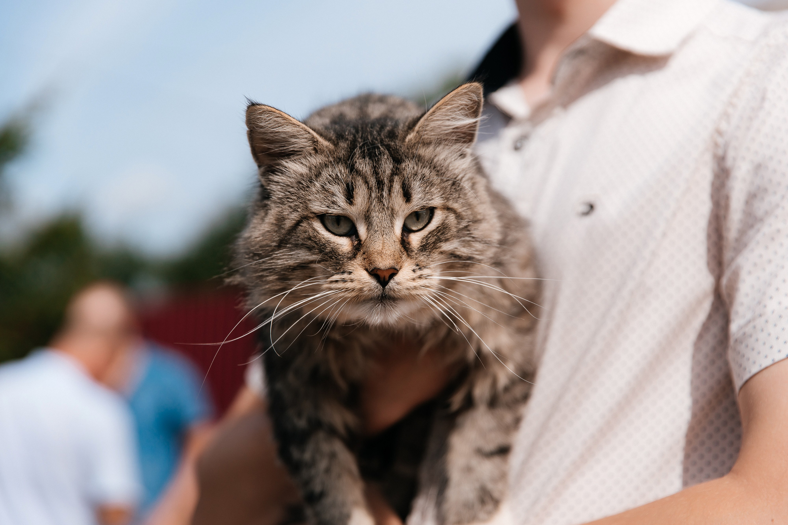 Репортажи. Свадебный фотограф Нижний Новгород | Софа Полякова