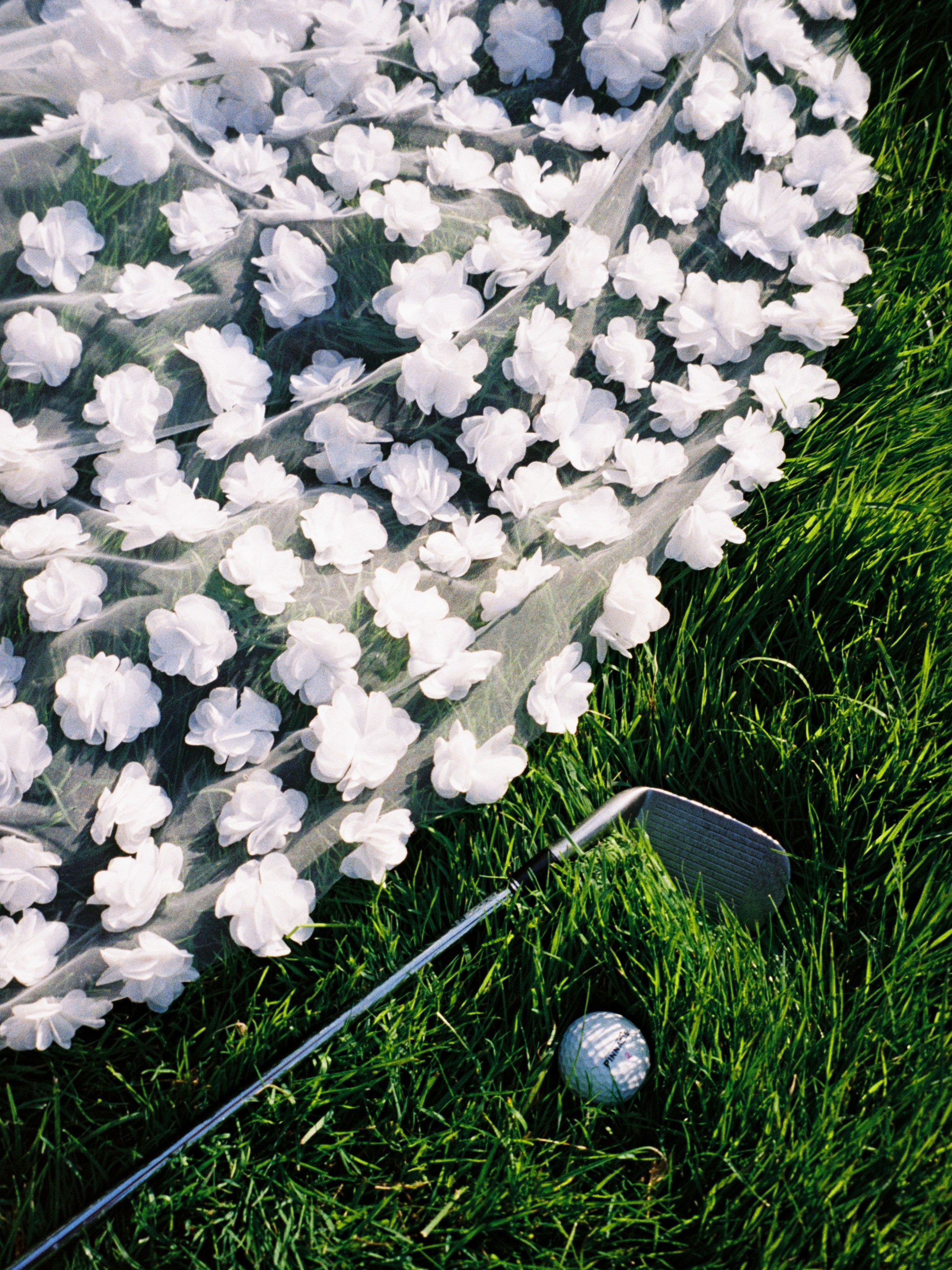 Пленка. Свадебный фотограф Москва Грузия Мотеюнайте Виктория