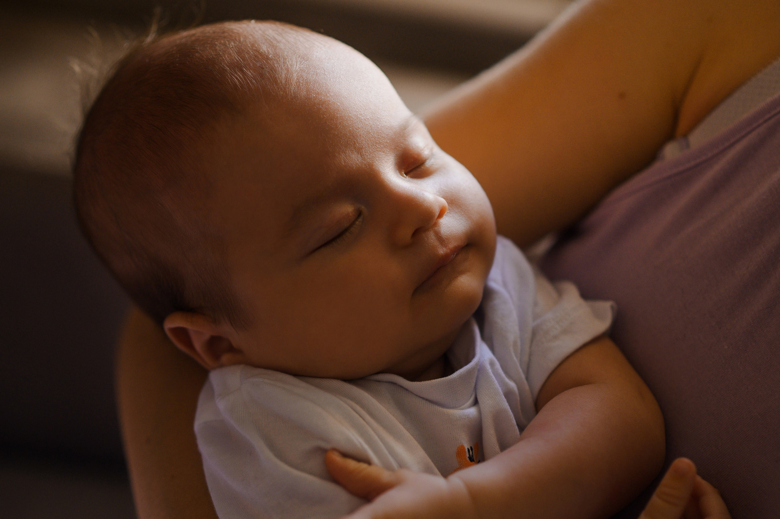Домашняя. Свадебный и семейный Фотограф в Пензе Татьяна Лапоногова