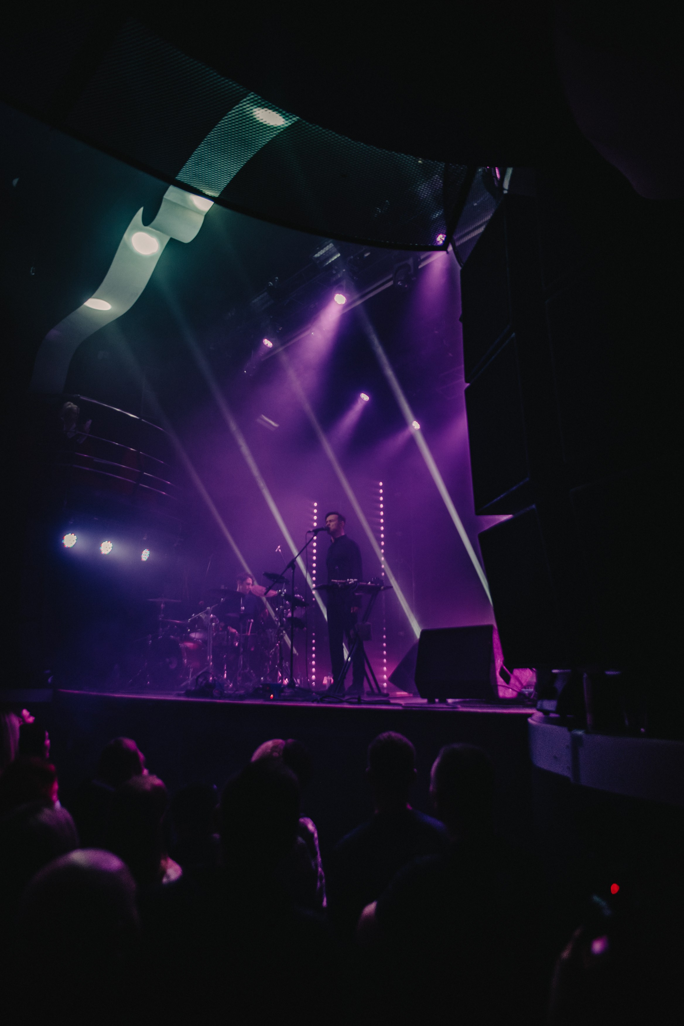 Дельфин | Gaudi. Контент фотограф Илья Урс