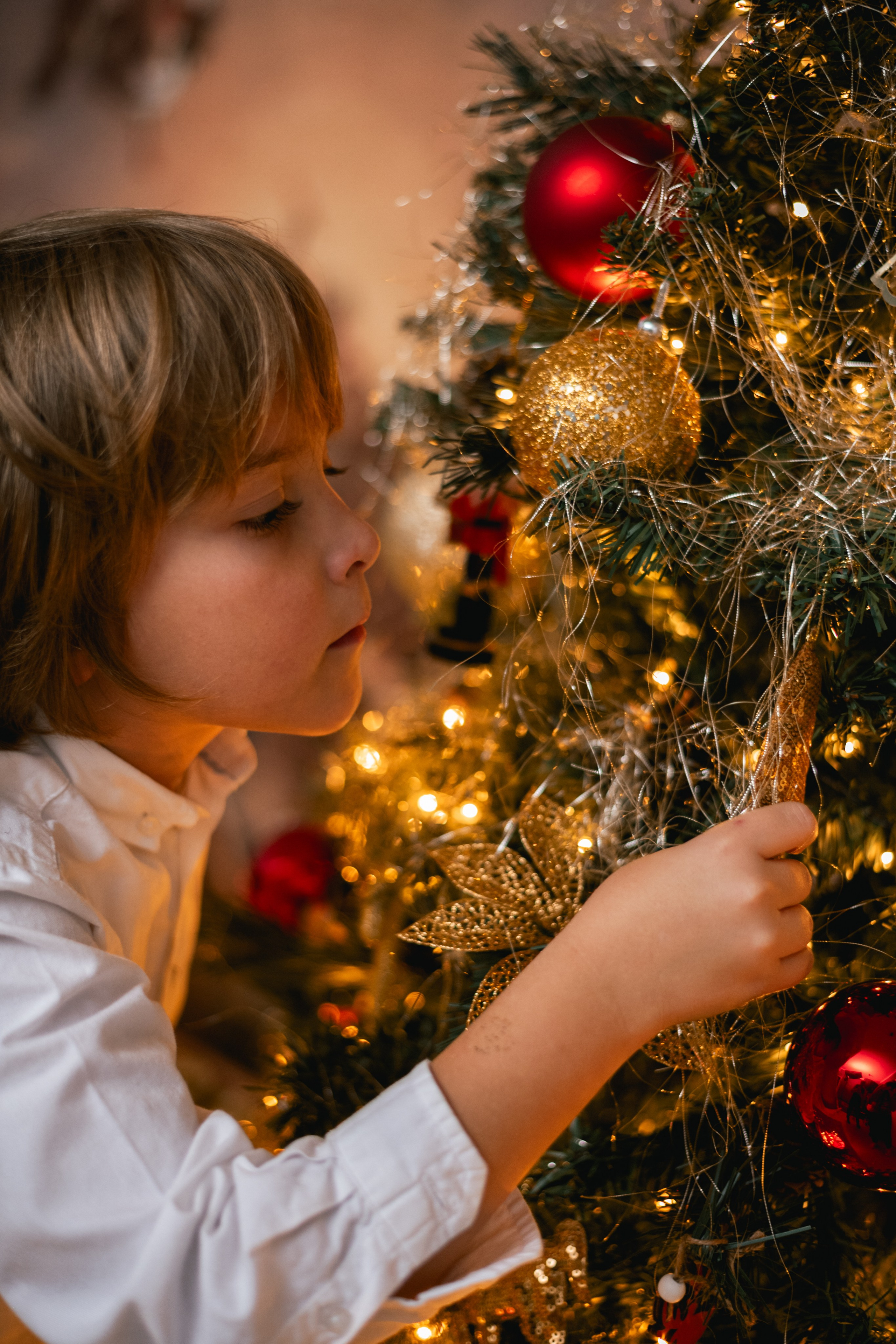 CHRISTMAS FOR VIKTOR AND ALEKSANDR. Anastasiia Antoniuk portrait, family and couple photographer, Portugal