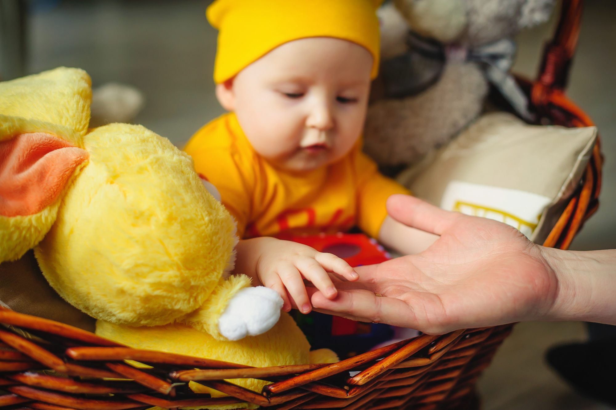 Галина, Алексей и крошка-дочка. Свадебный и семейный фотограф в Новосибирске Александр Счастный