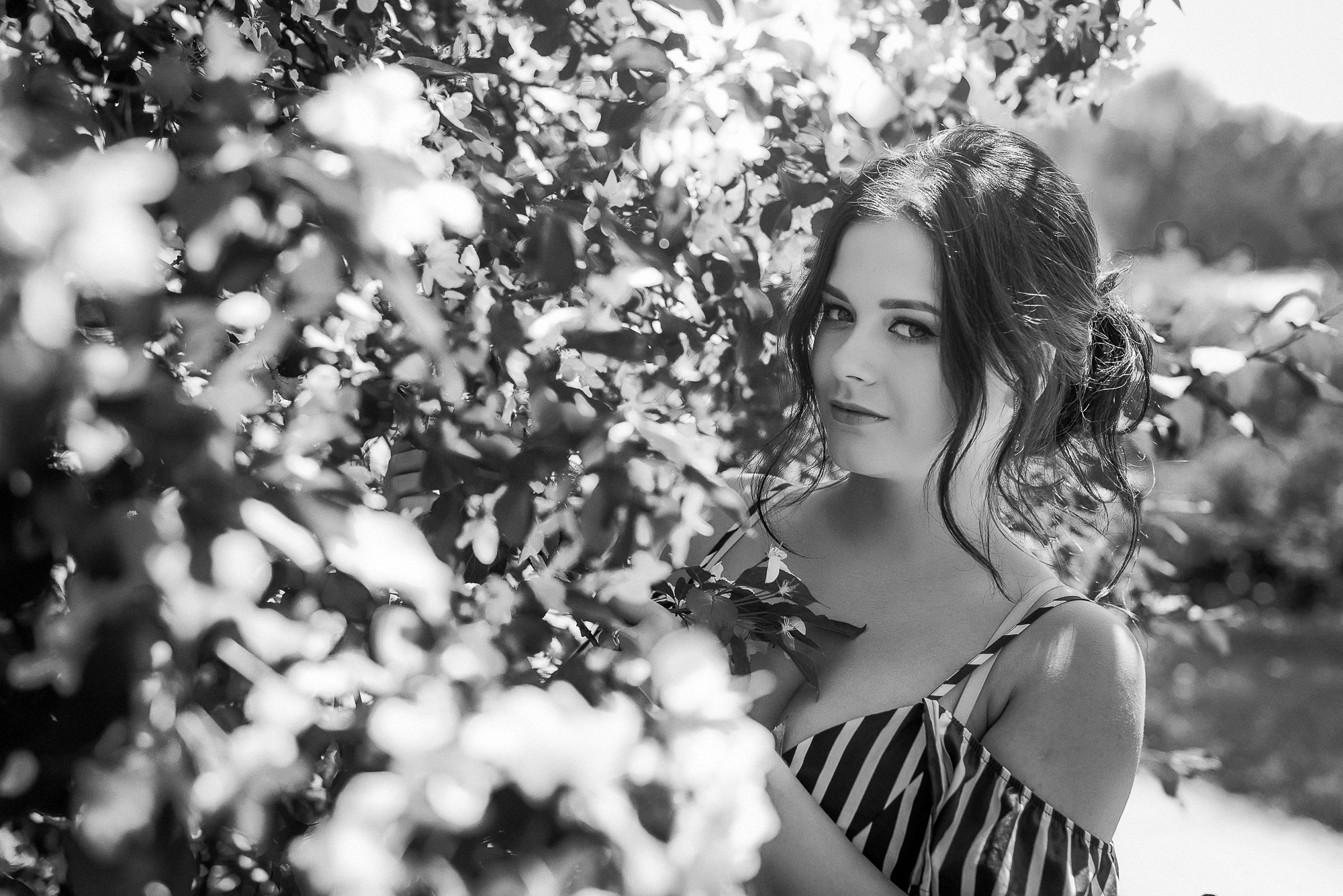 Елена и Денис. Свадебный и семейный фотограф в Новосибирске Александр Счастный