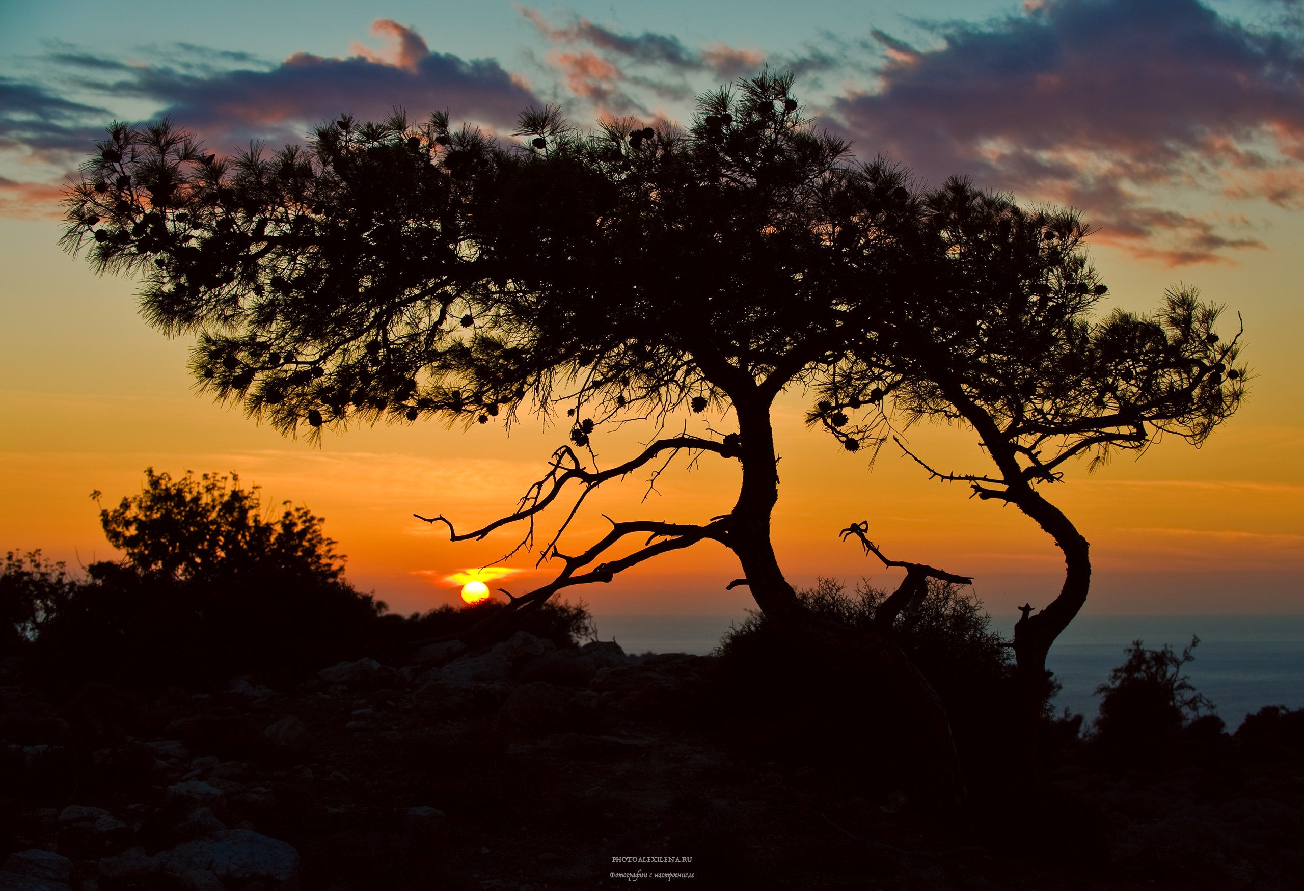 Светило в кадре. Авторские стильные фотокартины