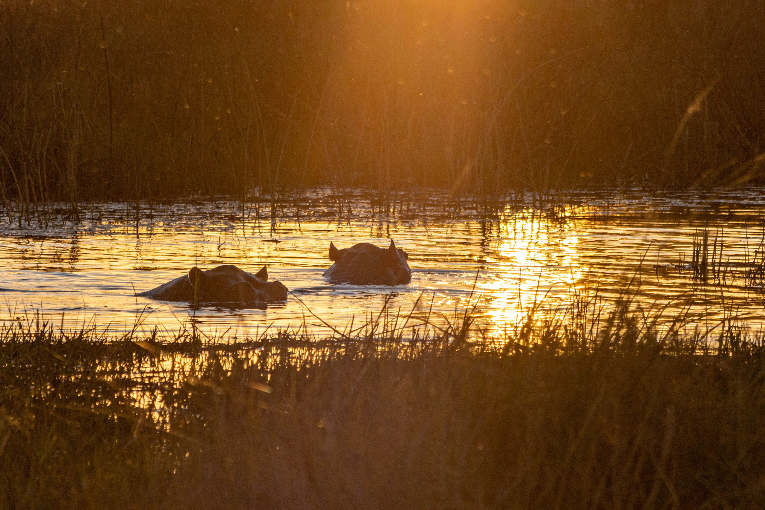 Южная Африка. B612