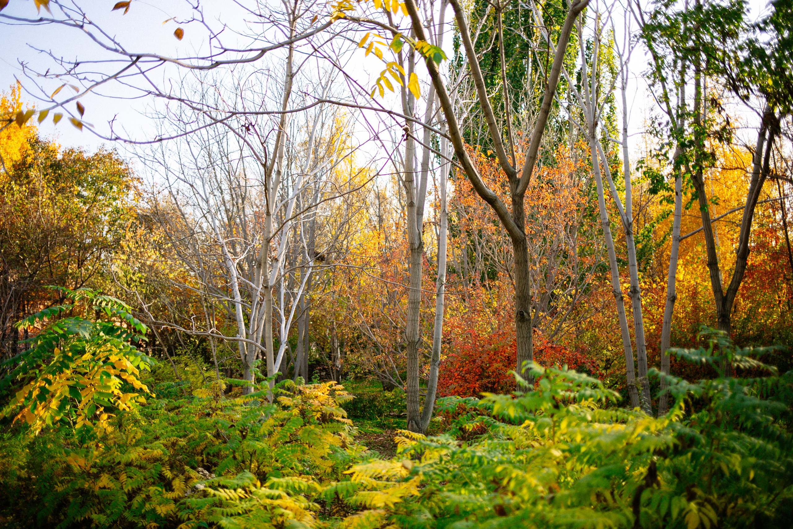 Юля, Анюта, Есения