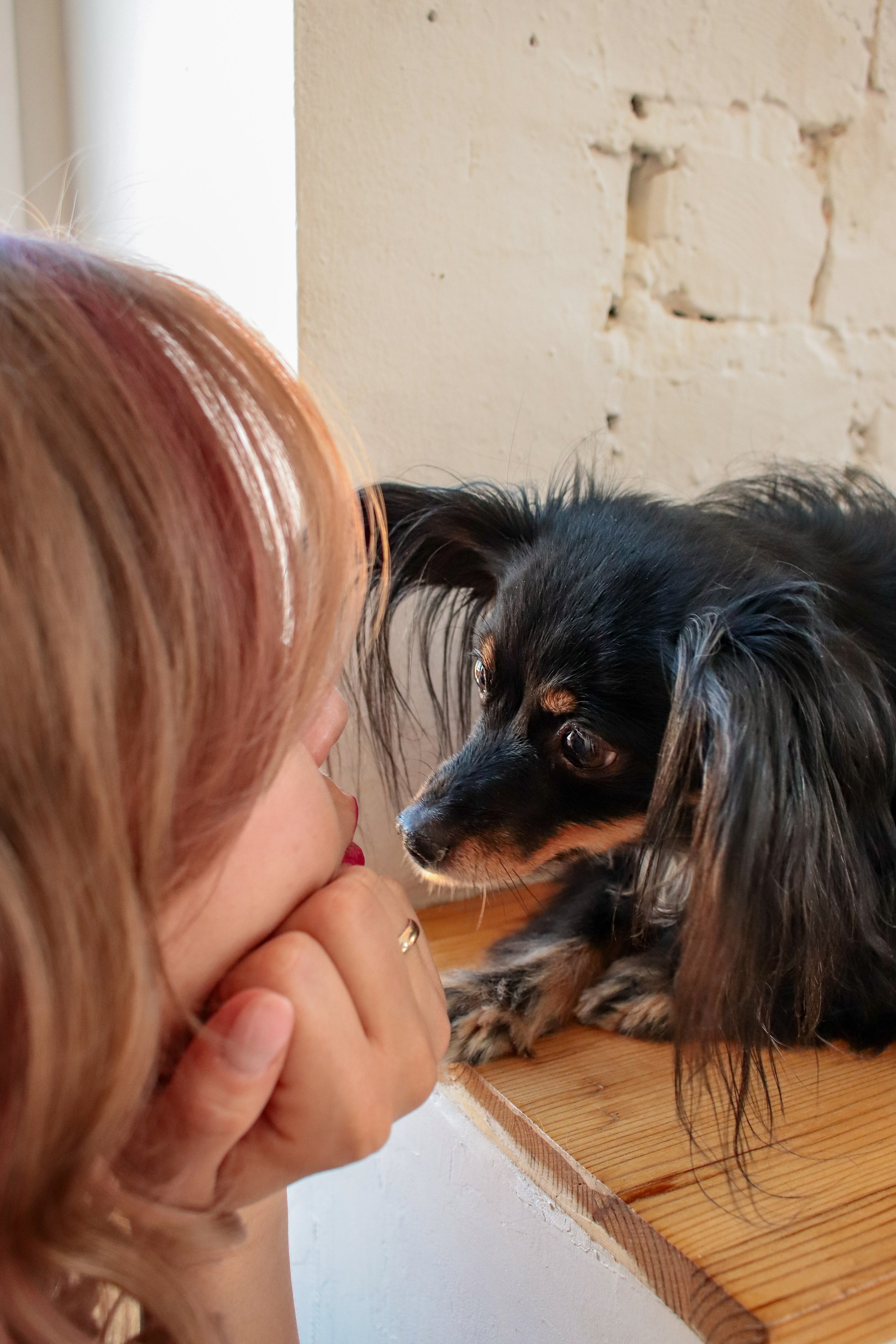 Маша, Саша и Бэлла. Фотограф Химки Анна Татарских