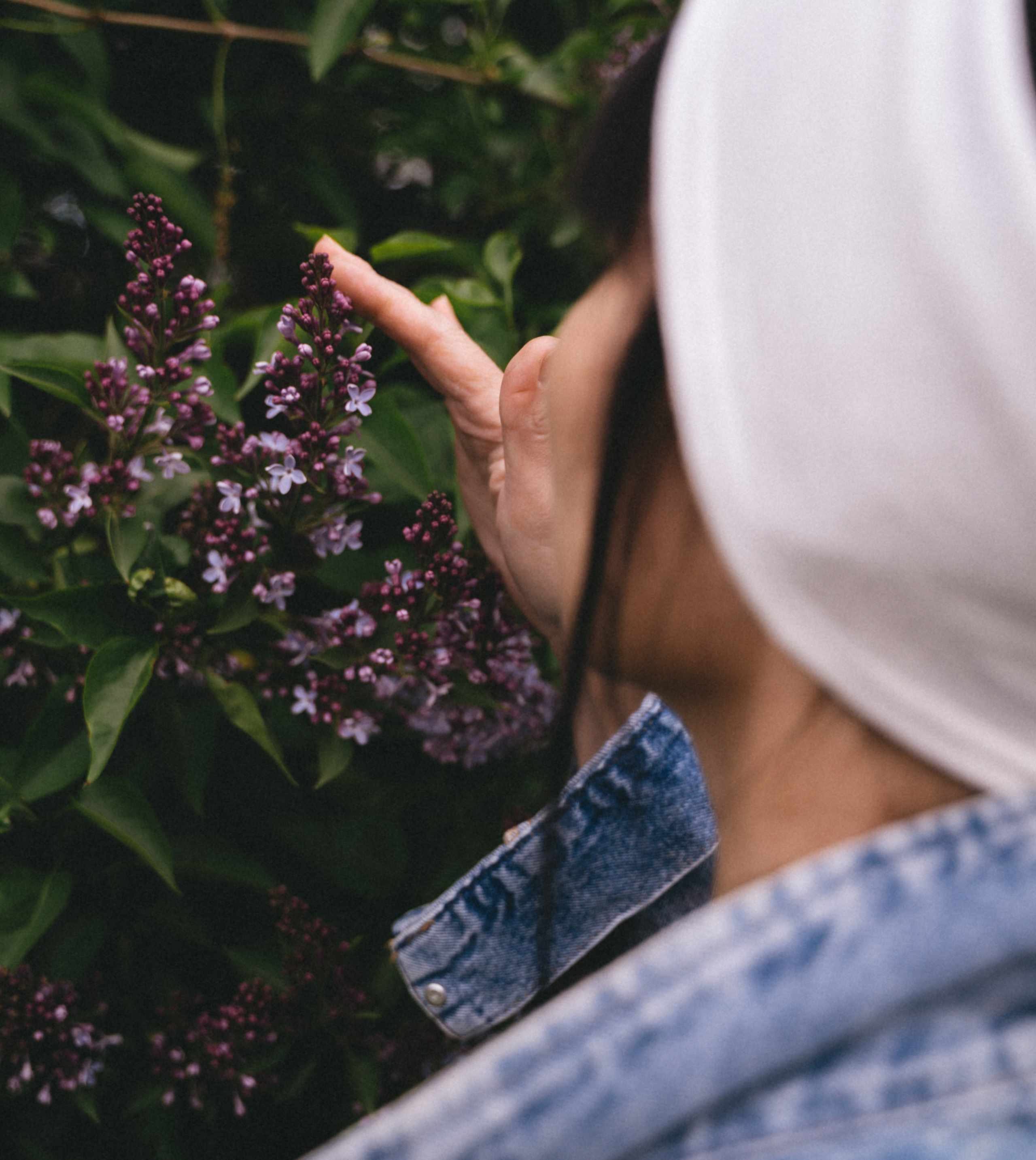 Сирень…. FotoTanya. Раменское/Жуковский/Бронницы