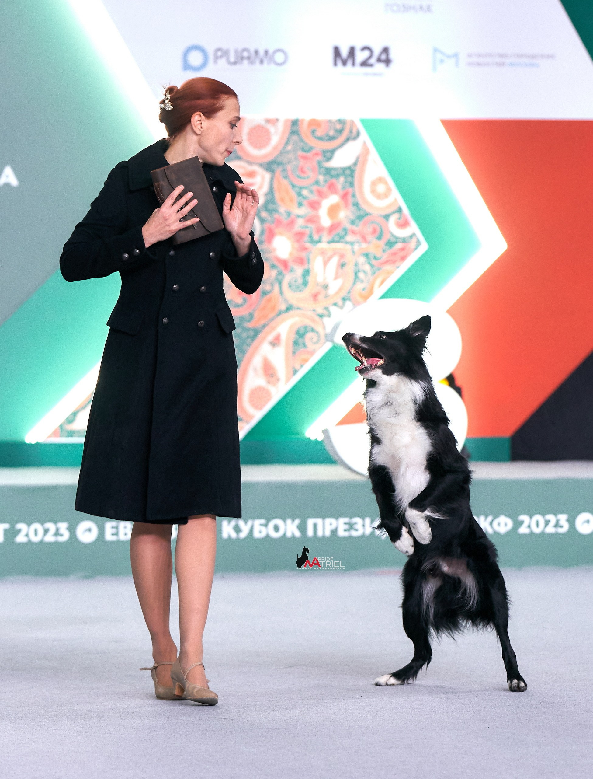 Обидиенс и танцы с собаками — галерея NATRIEL