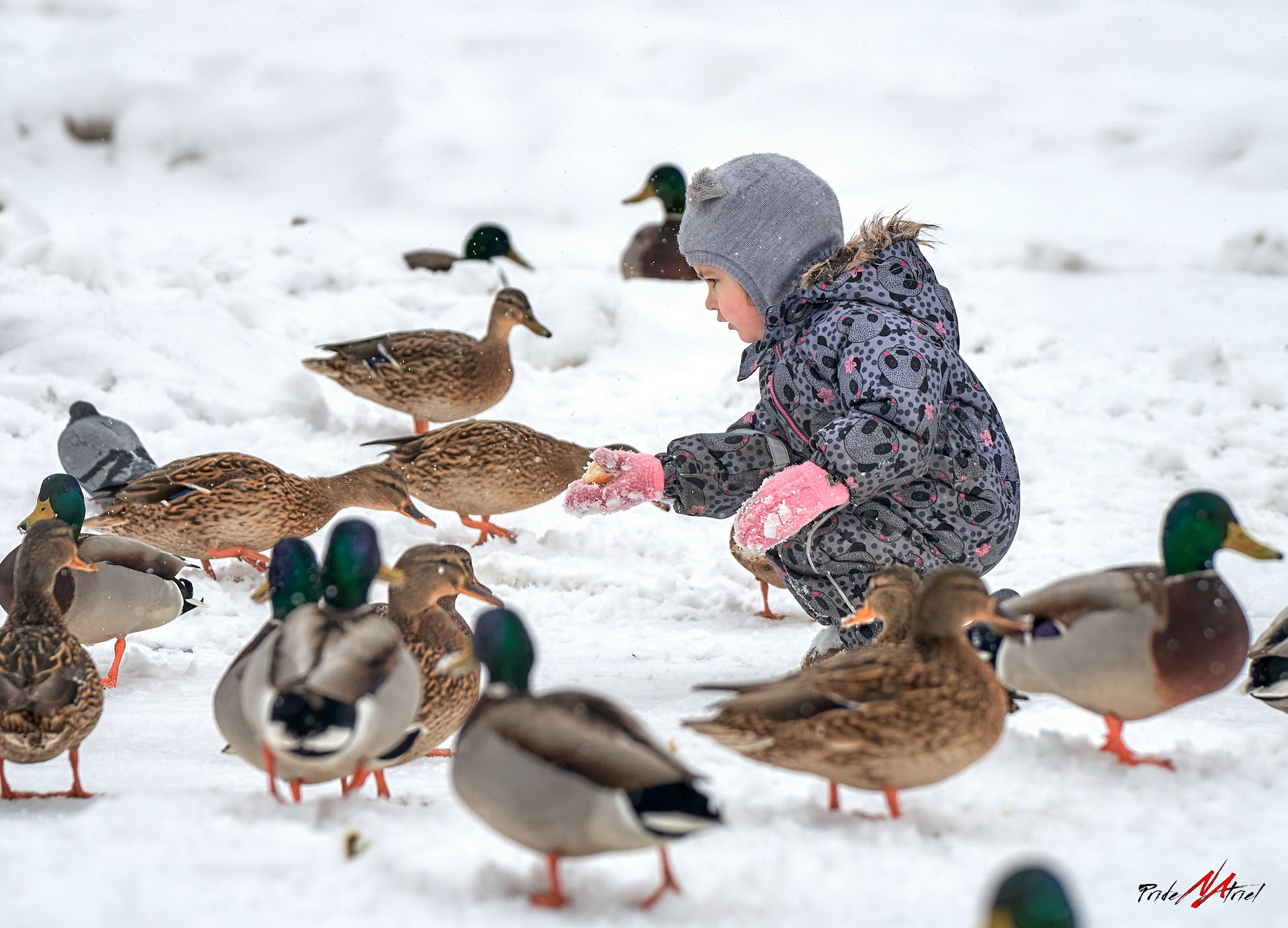 Стрит-фотография — галерея NATRIEL