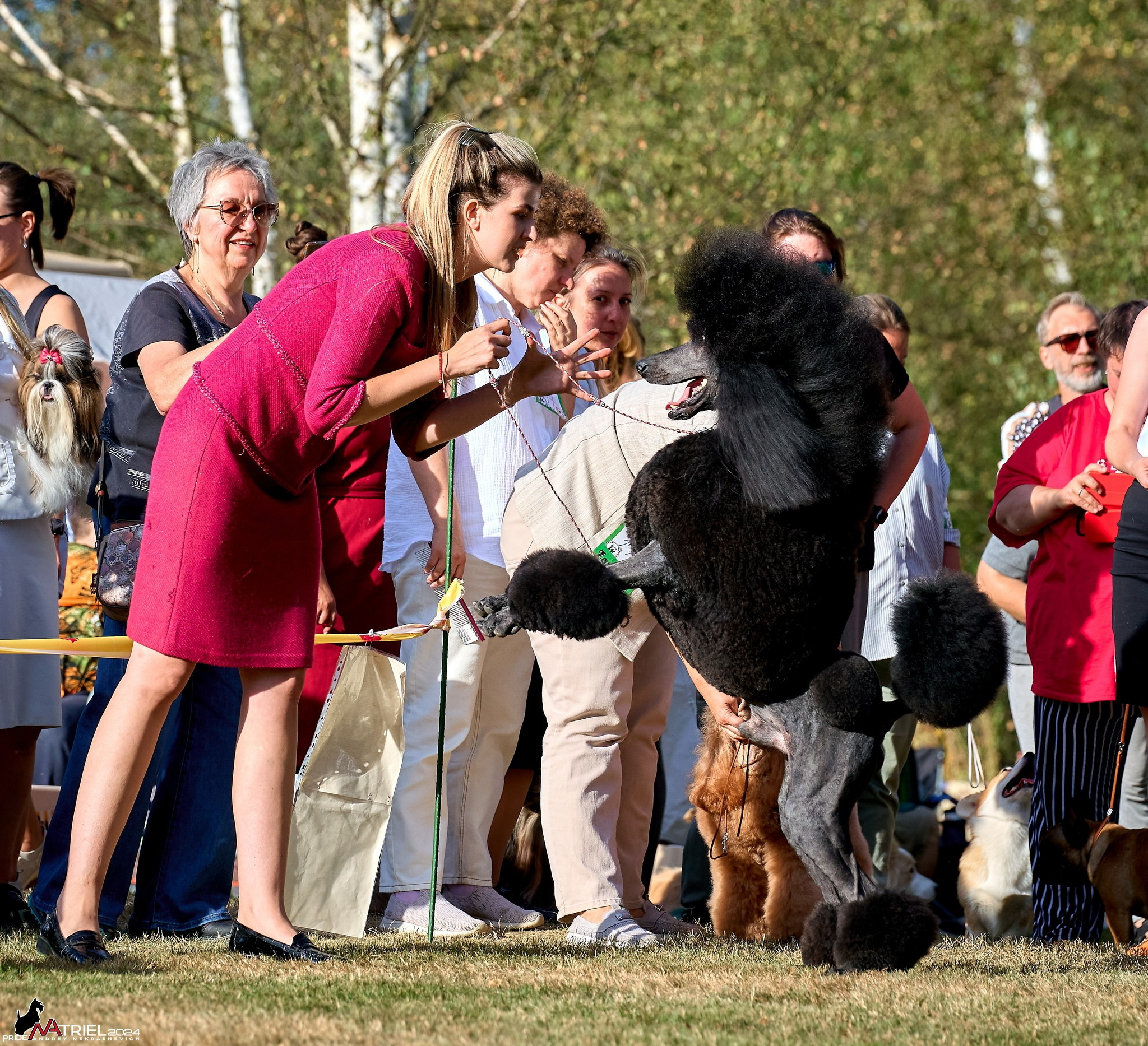 Съемка на выставке в Электросталь