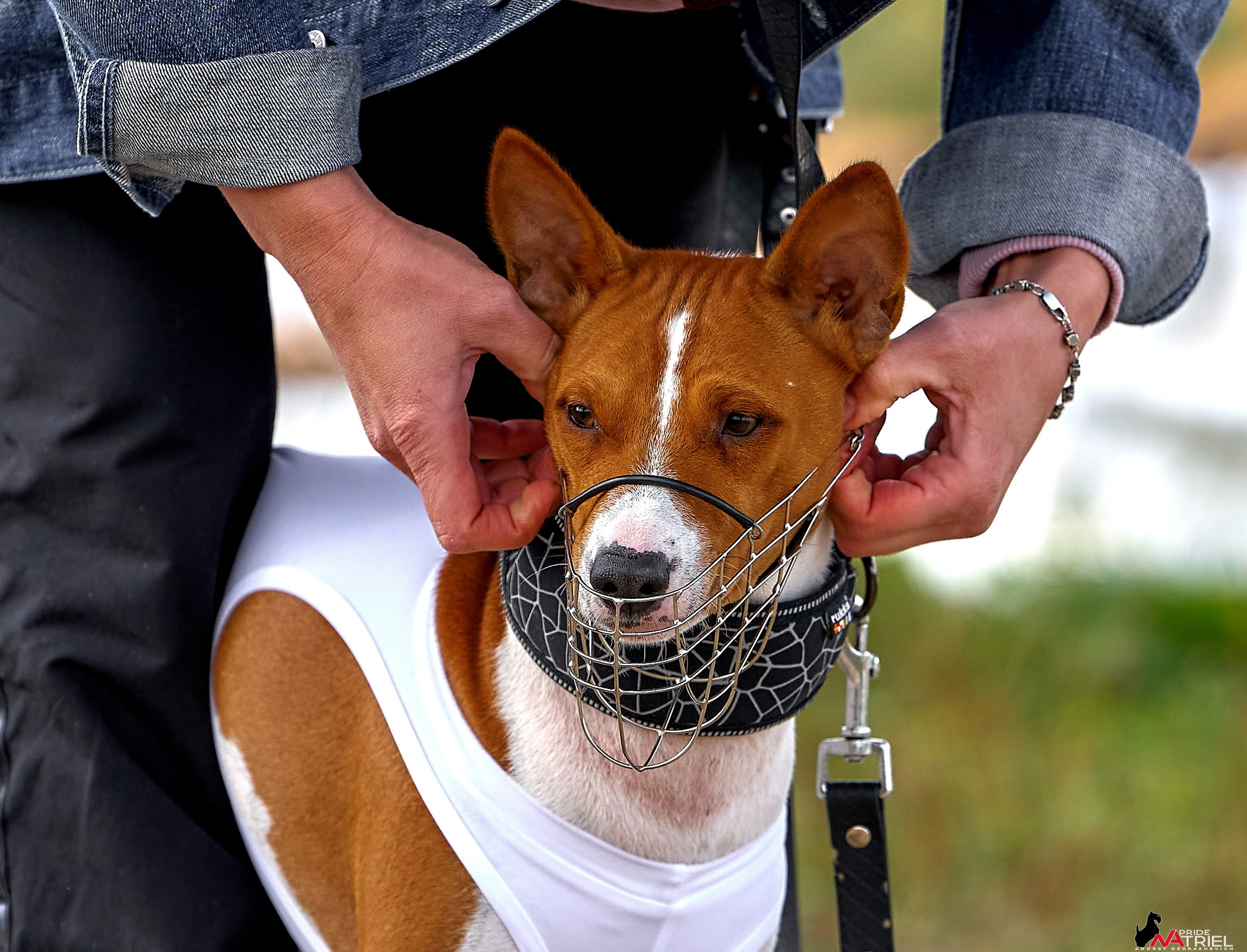 Съемка курсинг — галерея NATRIEL