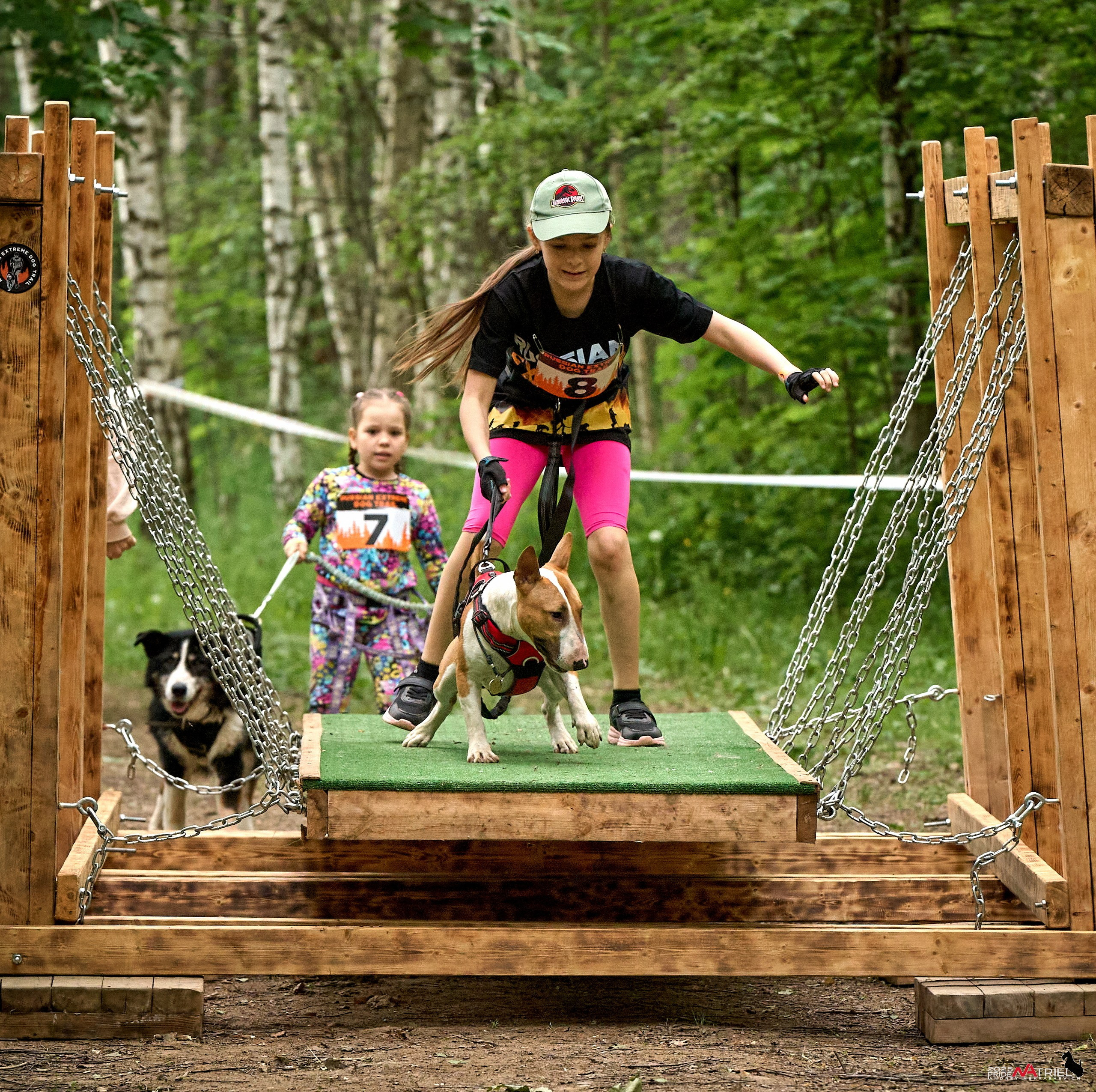 Russian Extreme Dog Trail — 2025