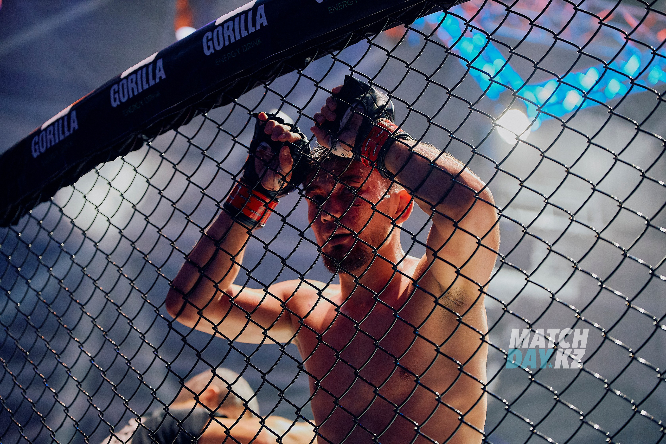 Naiza MMA (Astana) 6 December 2023. Professional photo & Event agency (Kazakhstan, Astana)