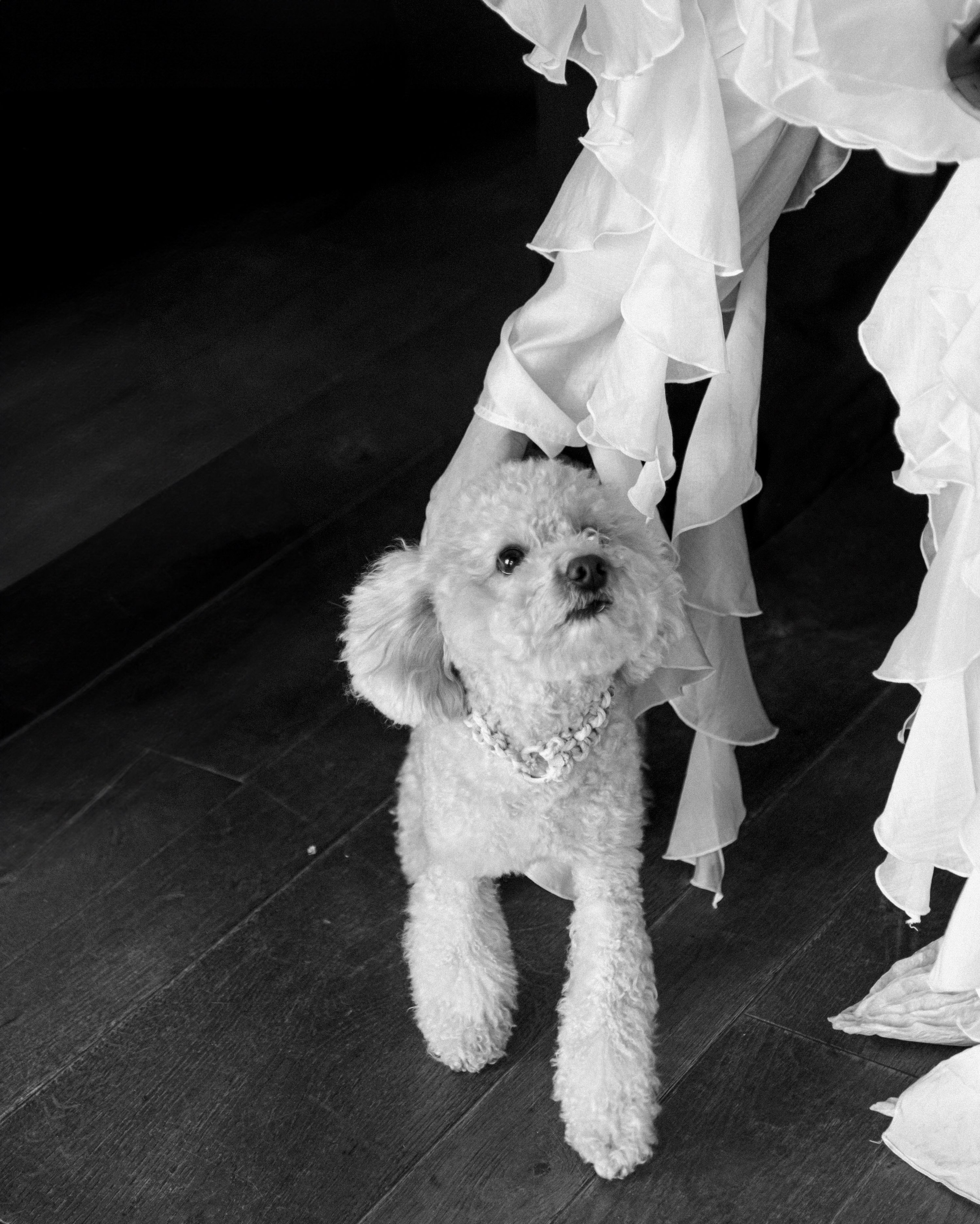 Луковка и Человеки. Константин Суриков свадебный фотограф Санкт-Петербург