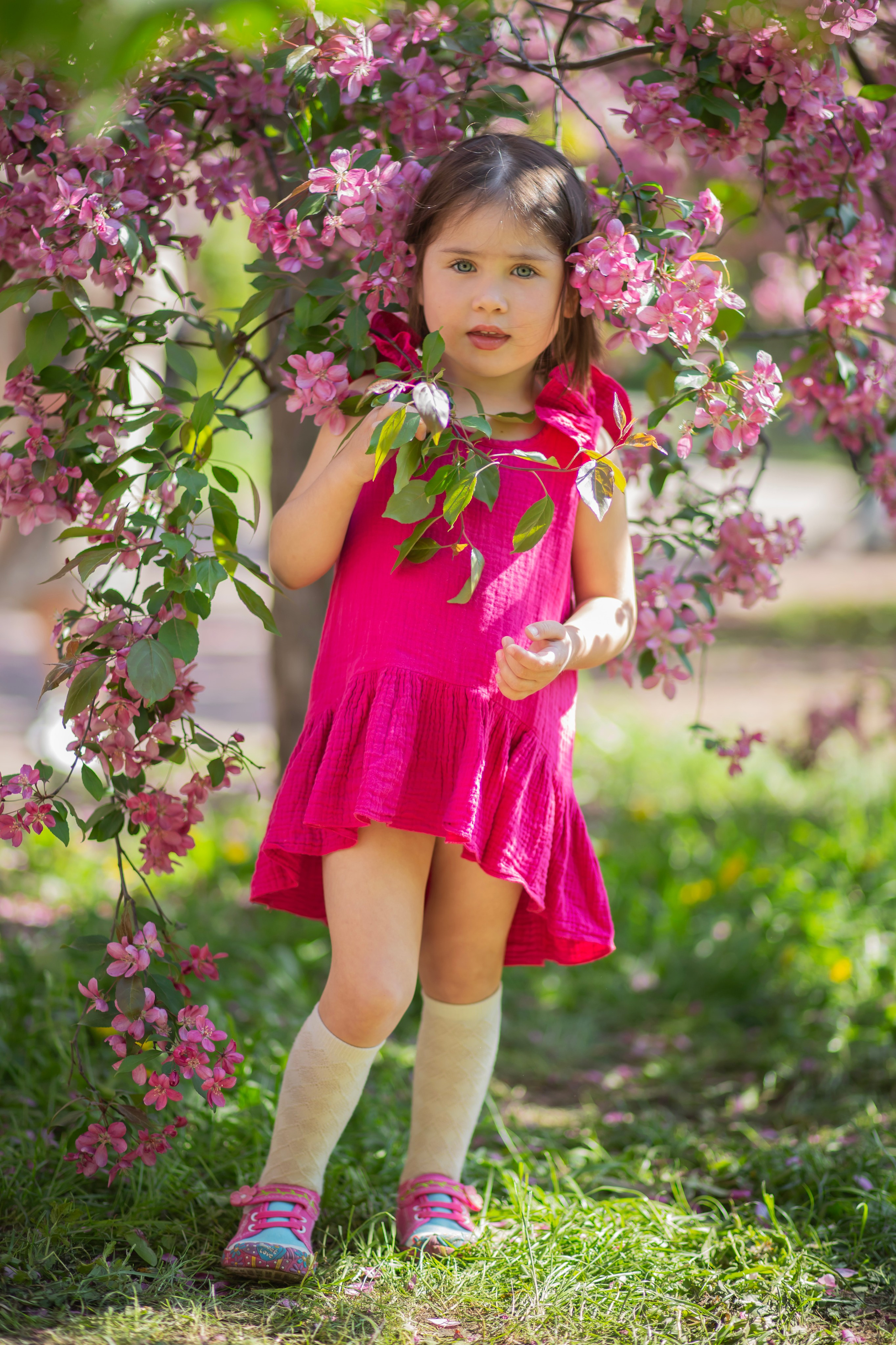 Фотопрогулка-яблони розовые. Семейный и детский фотограф в Москве и МО — Александра