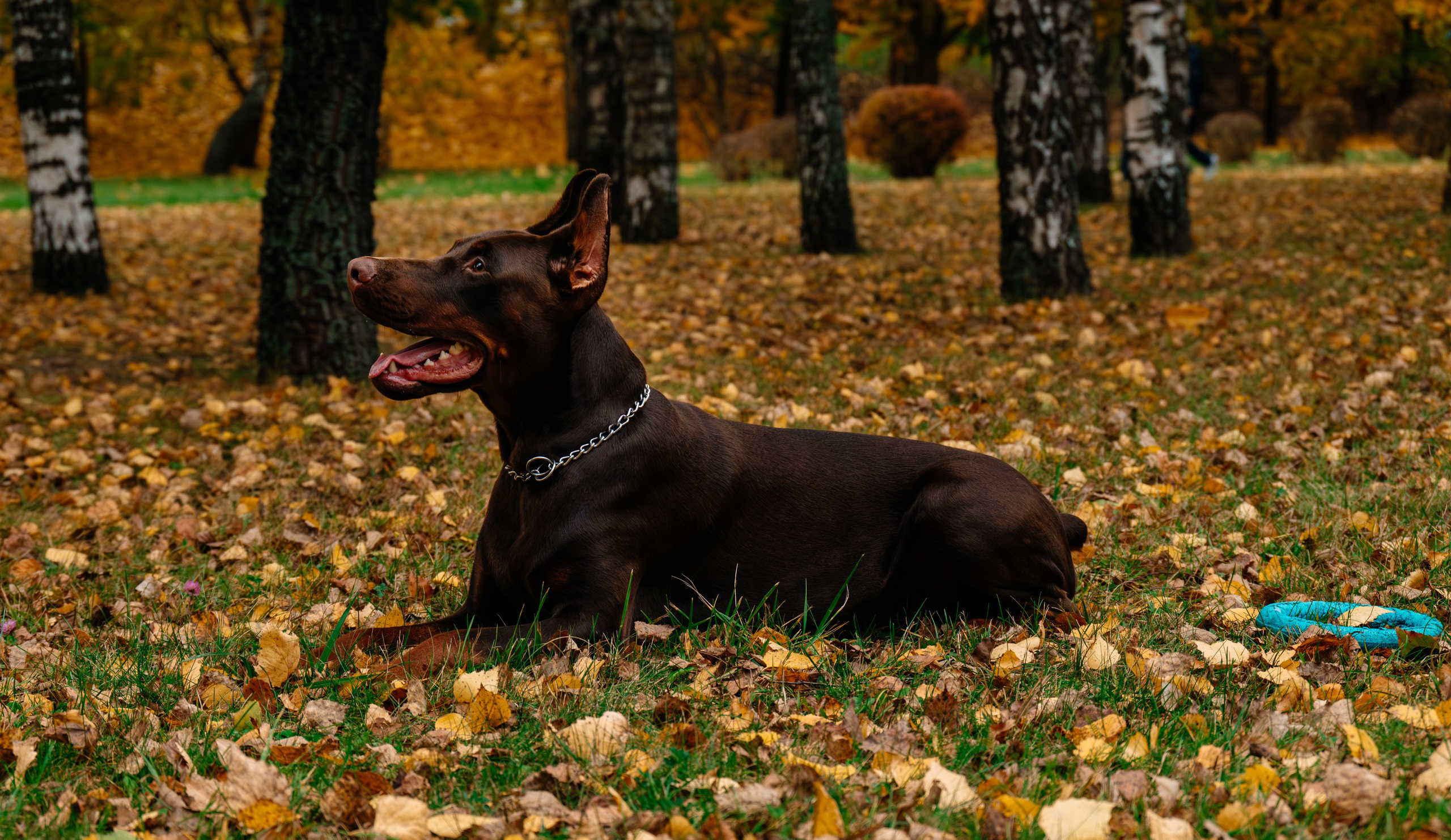 Семья Стенцель. Юлия Чайко, фотограф в Минске