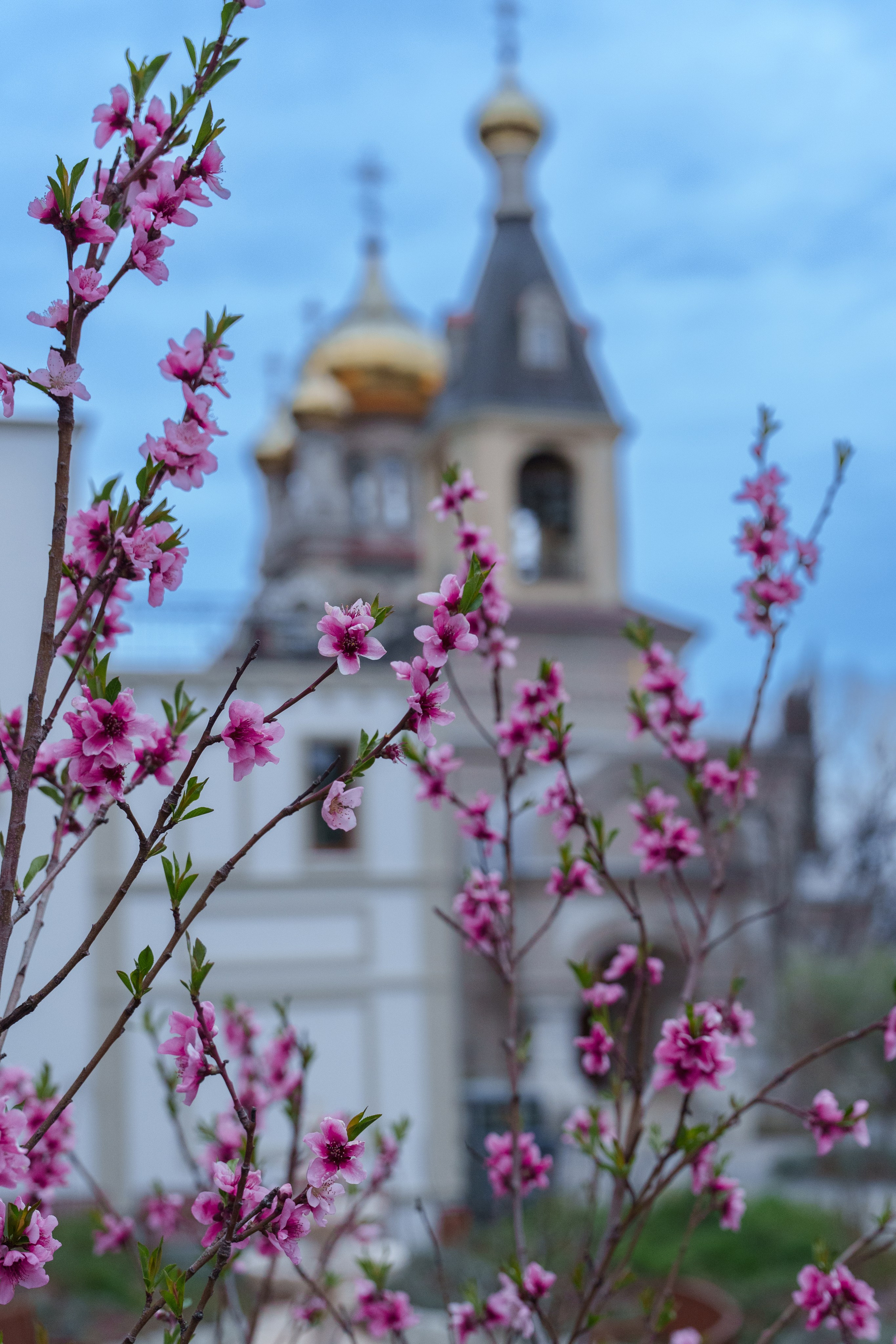 Фотосессия семейная и детская. Фотограф на крещение и венчание в Екатеринбурге. Ольга Мезенцева