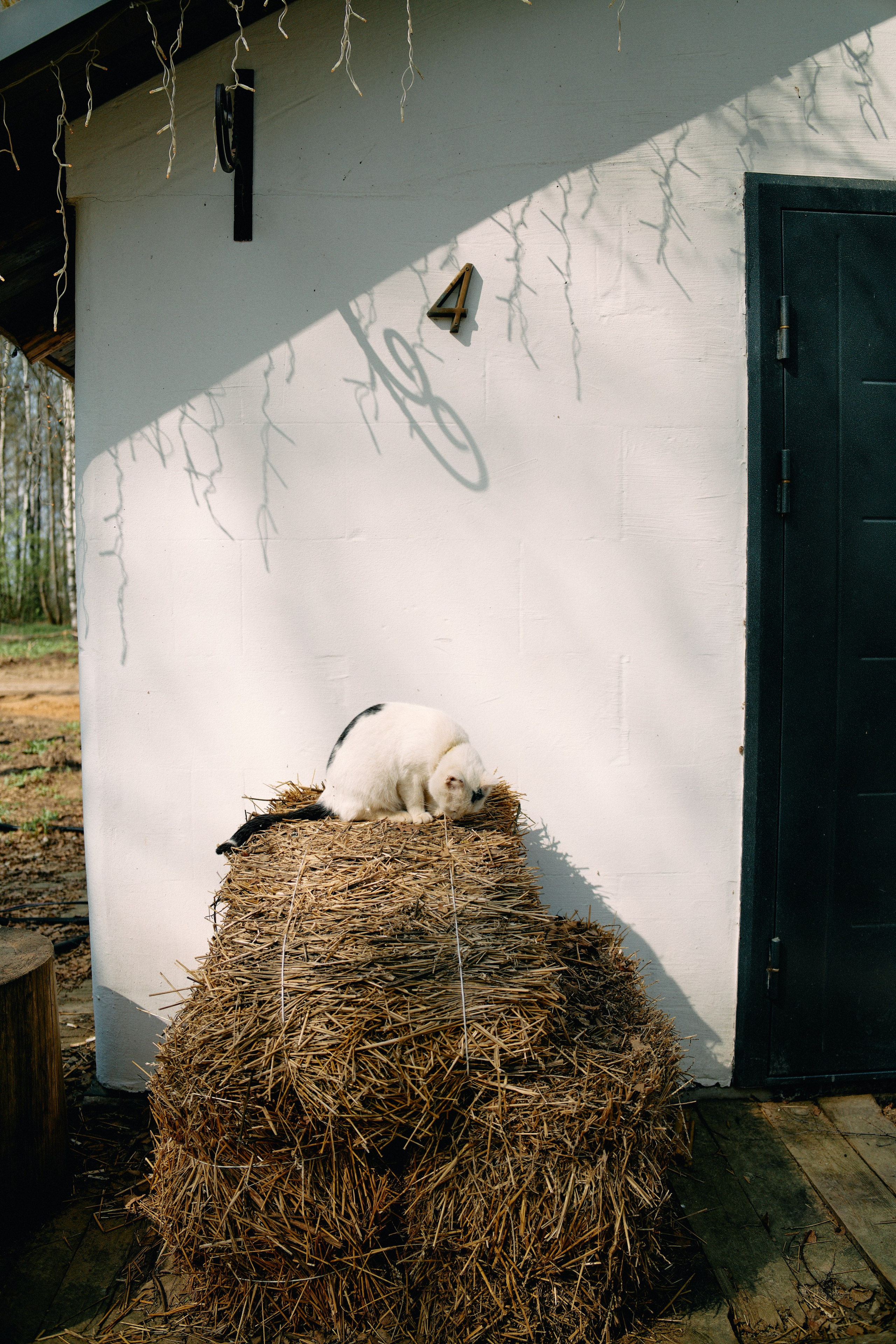 Бутик-отель Поле летом. Профессиональный Фотограф во Владимире, в Москве и в Суздале — Полина Романычева