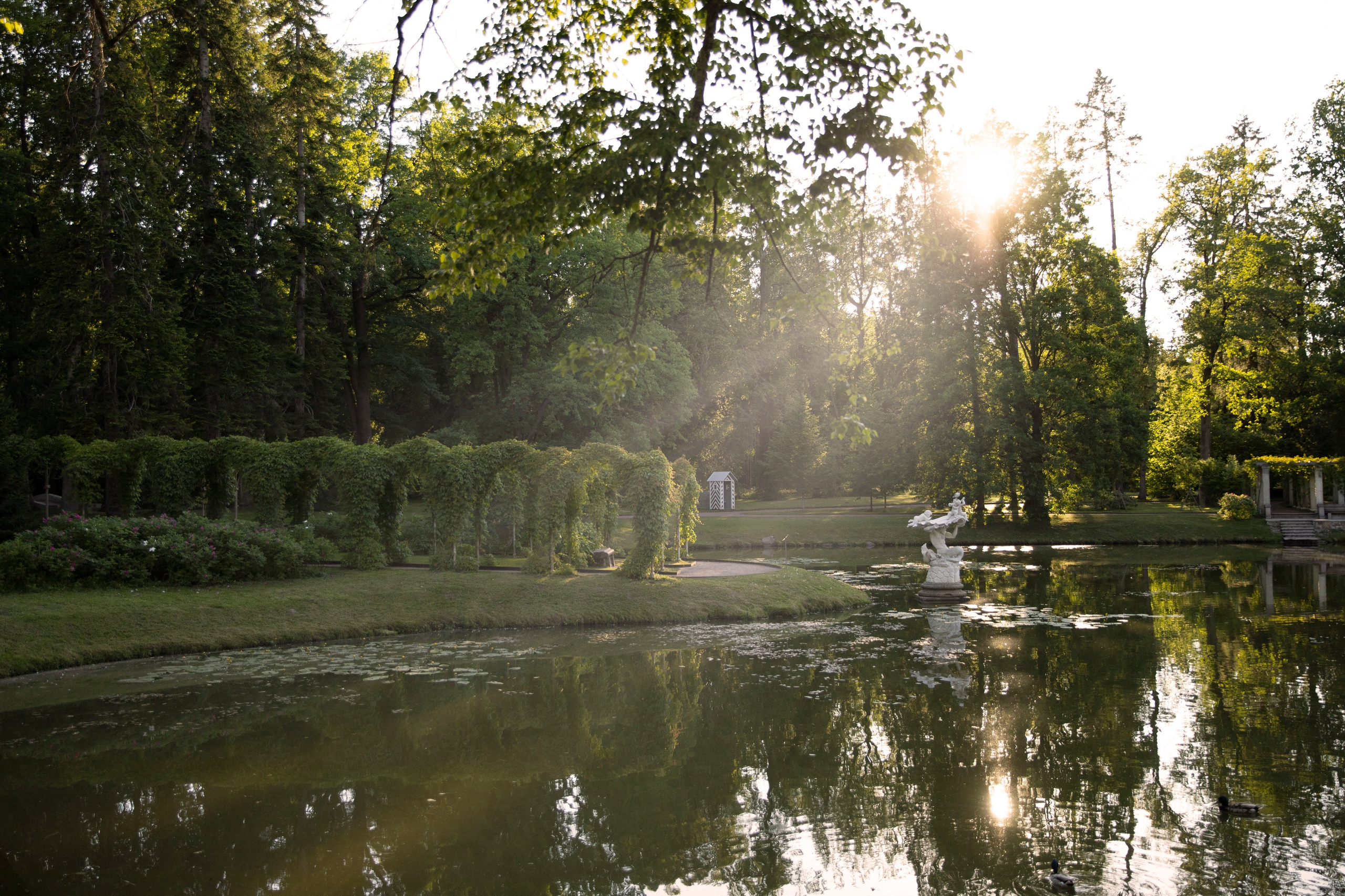 Анастасия и Иван. Свадебный и портретный фотограф