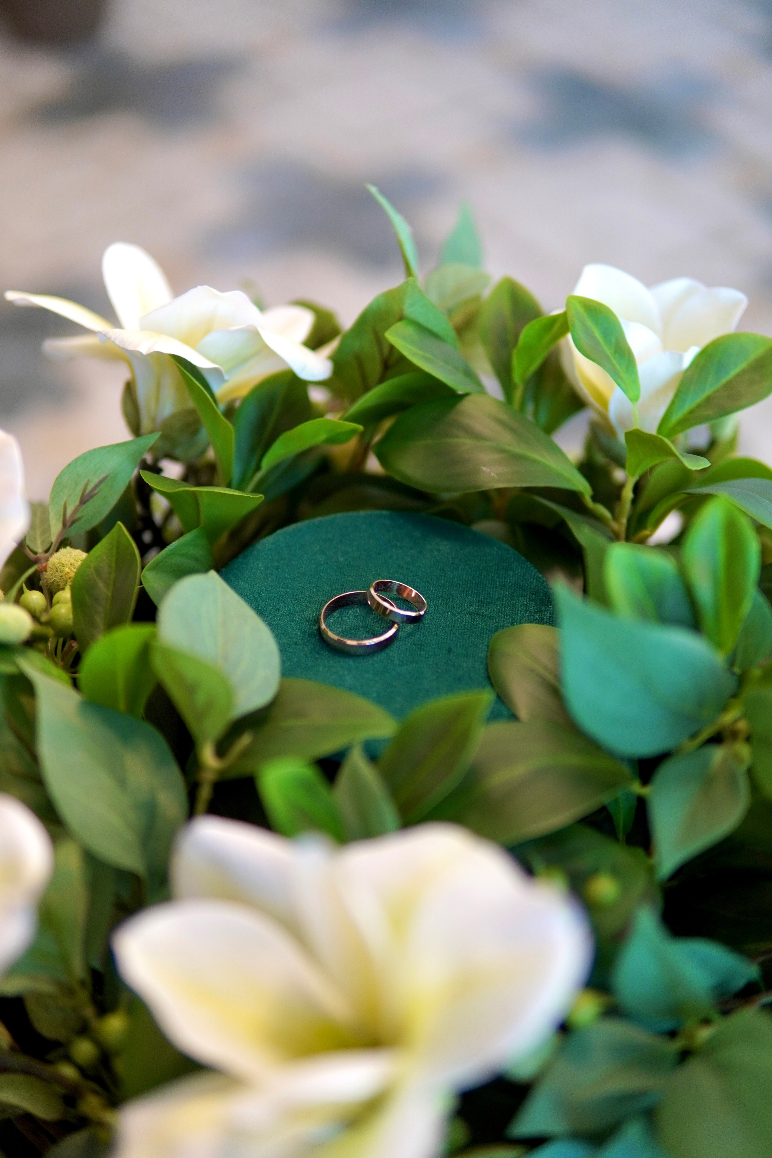 Максим и Анастасия. NSK Studio — Свадебная Фото — Видеосьемка