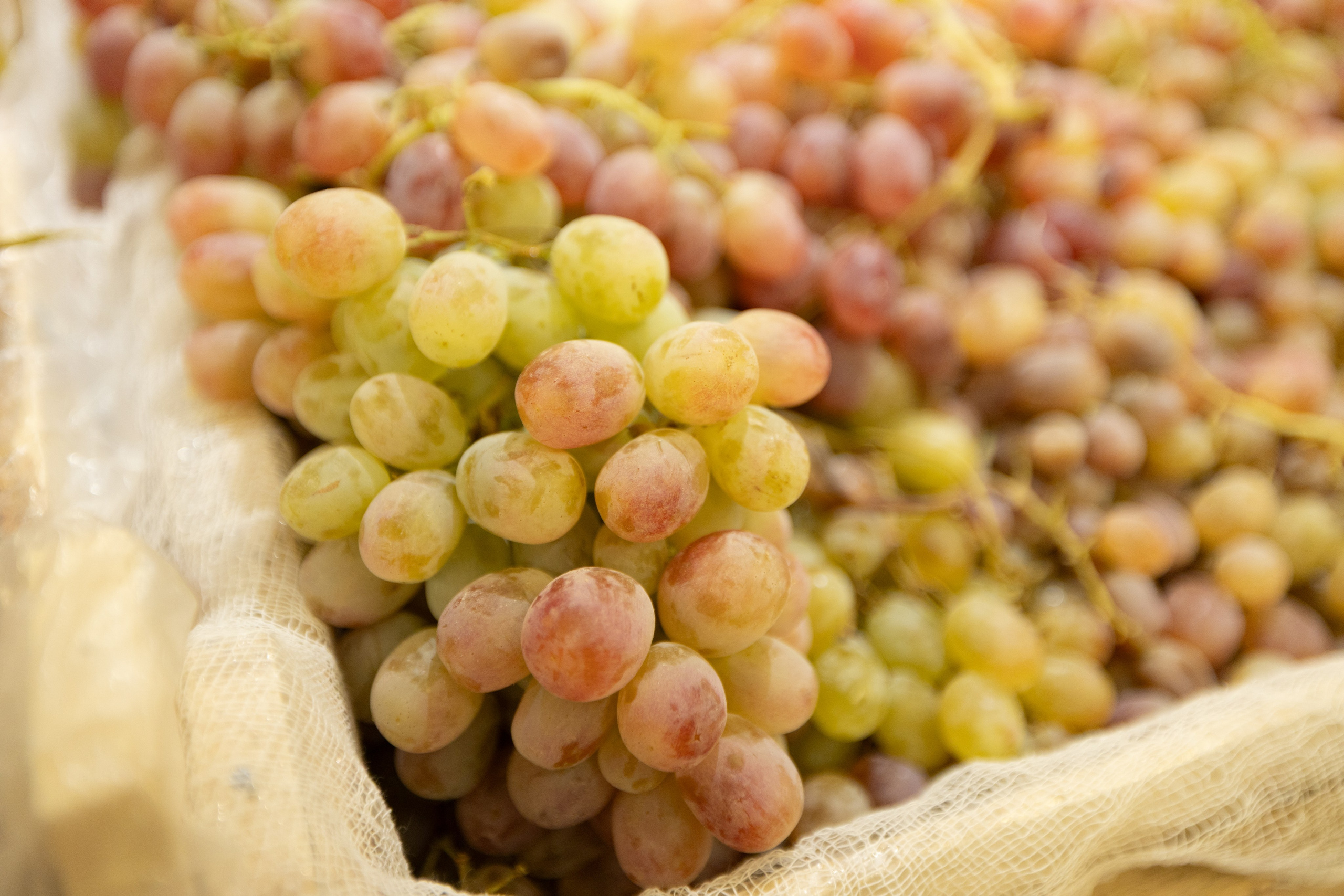 Съемка в Красном Яру. Фотограф Дарья Локотко в Красноярске