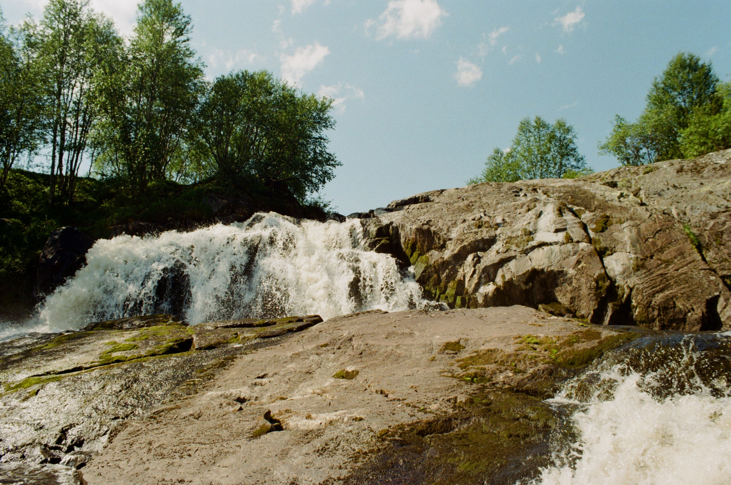 Автор: Саша Серебровская