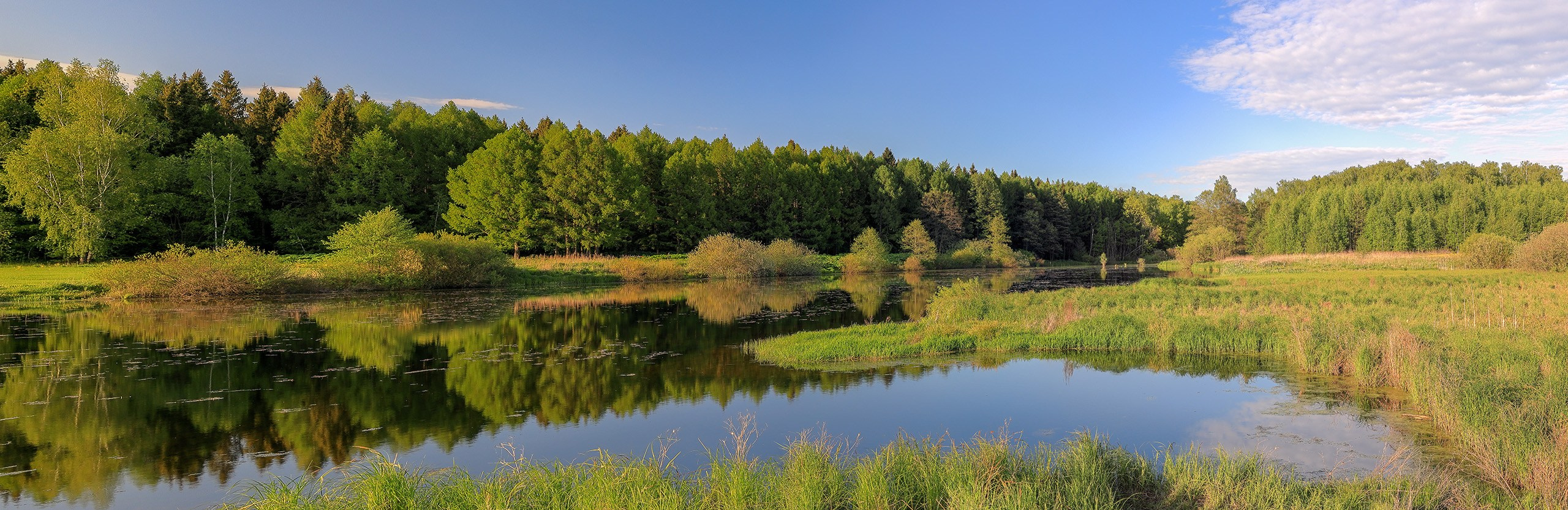Панорама реки Жданка