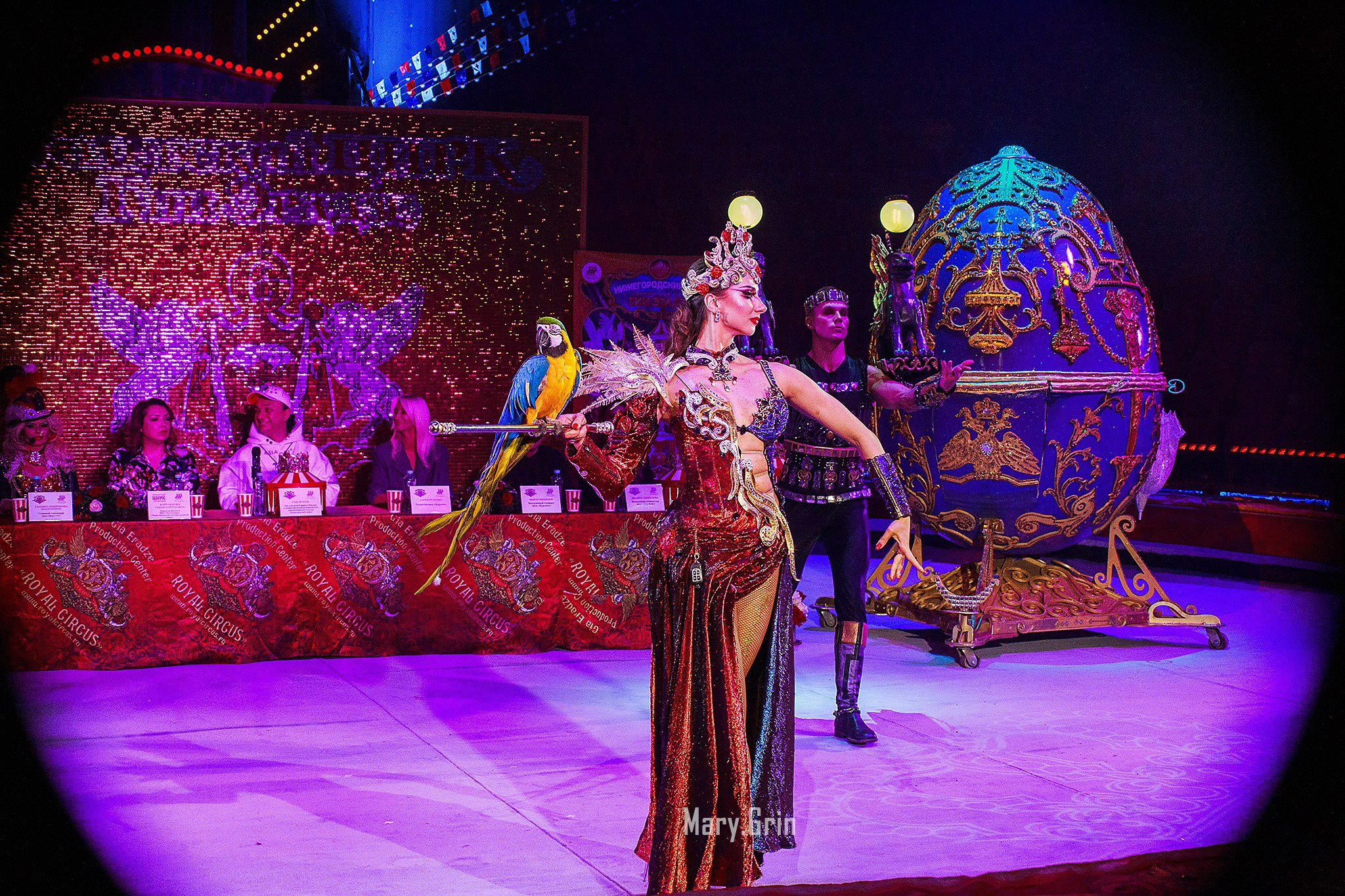 Цирк Гии Эрадзе. Детский и семейный фотограф, фотограф мероприятий Нижний Новгород
