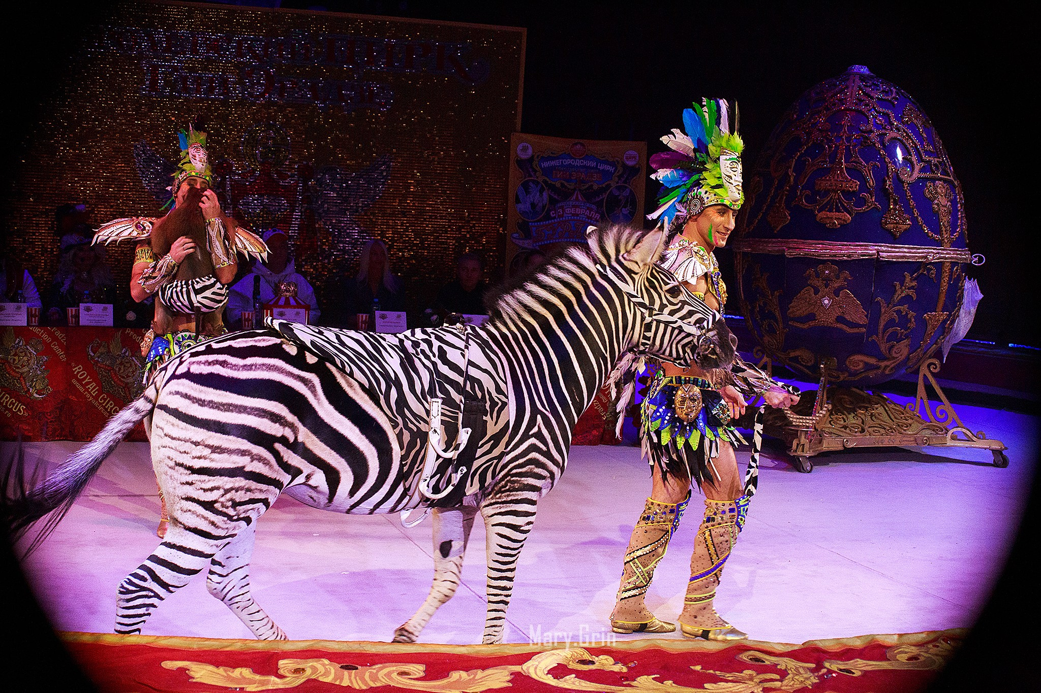 Цирк Гии Эрадзе. Детский и семейный фотограф, фотограф мероприятий Нижний Новгород