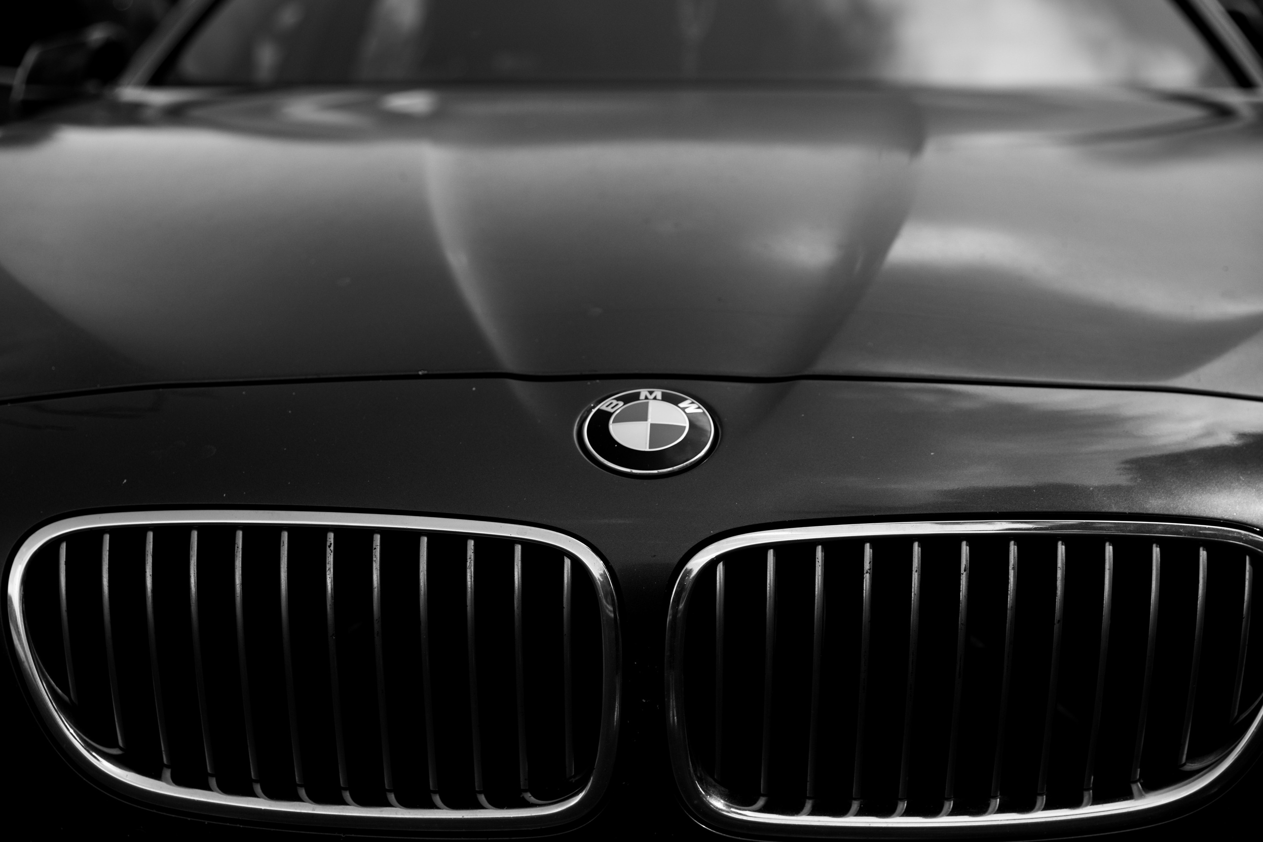 Илья и Елизавета 07.06.22. Фотограф — Погодина Екатерина