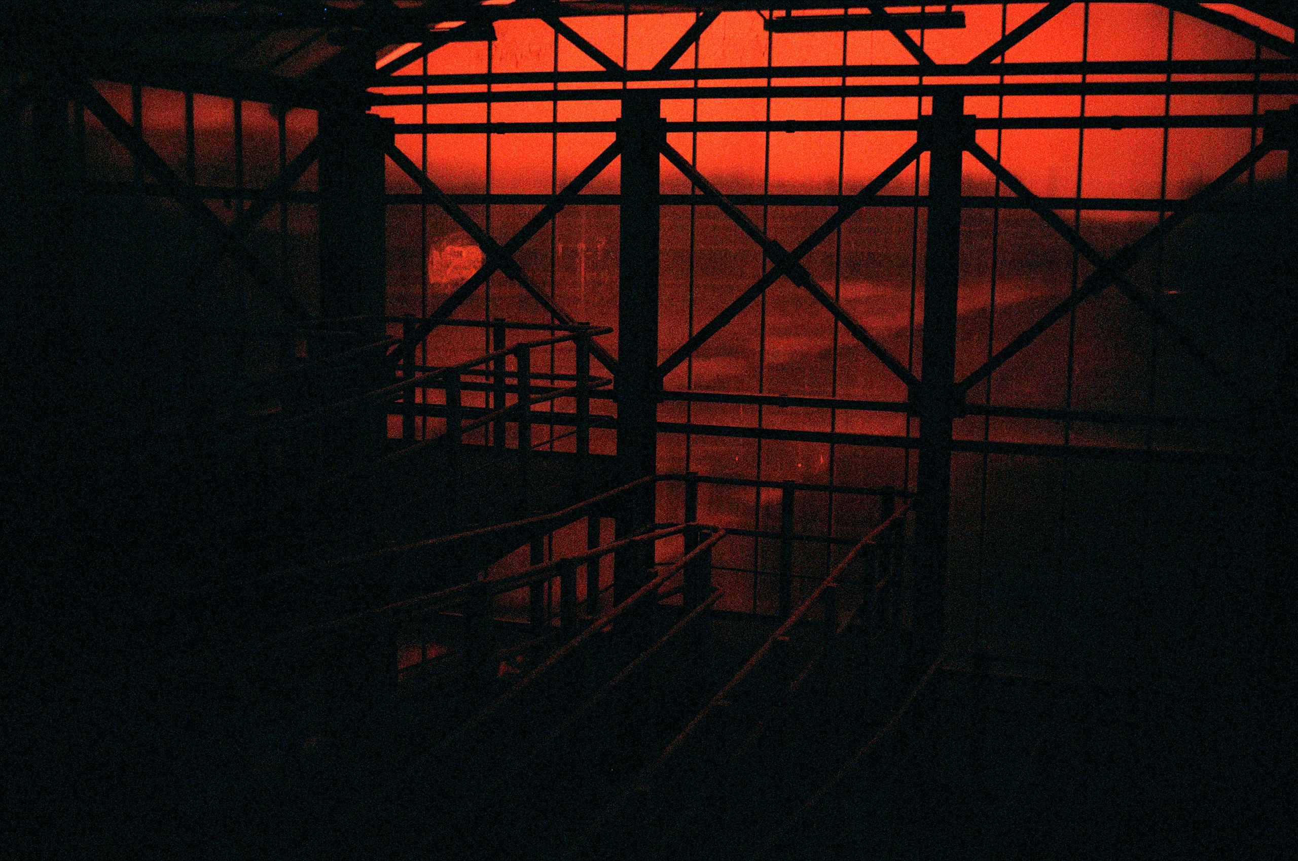 Redscale. Варвара Цымбал