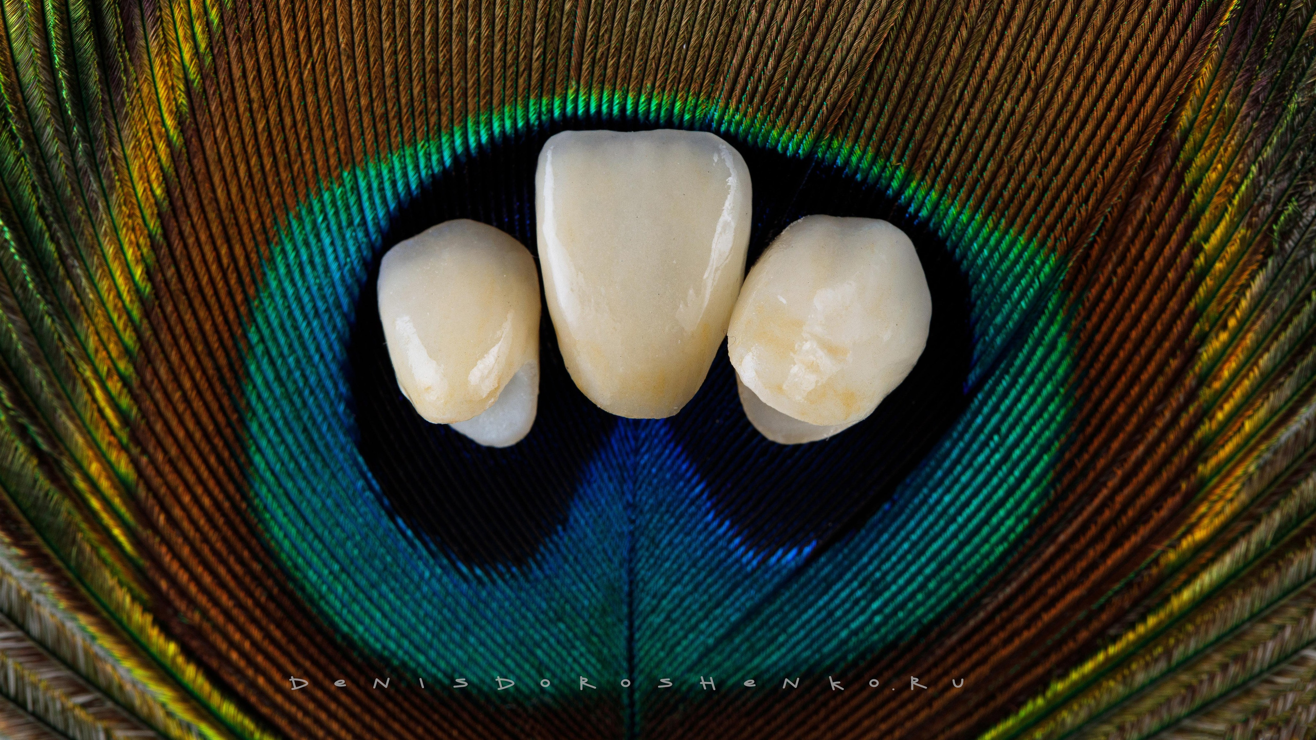 Арт. Дентал фотограф — видеограф Денис Дорошенко