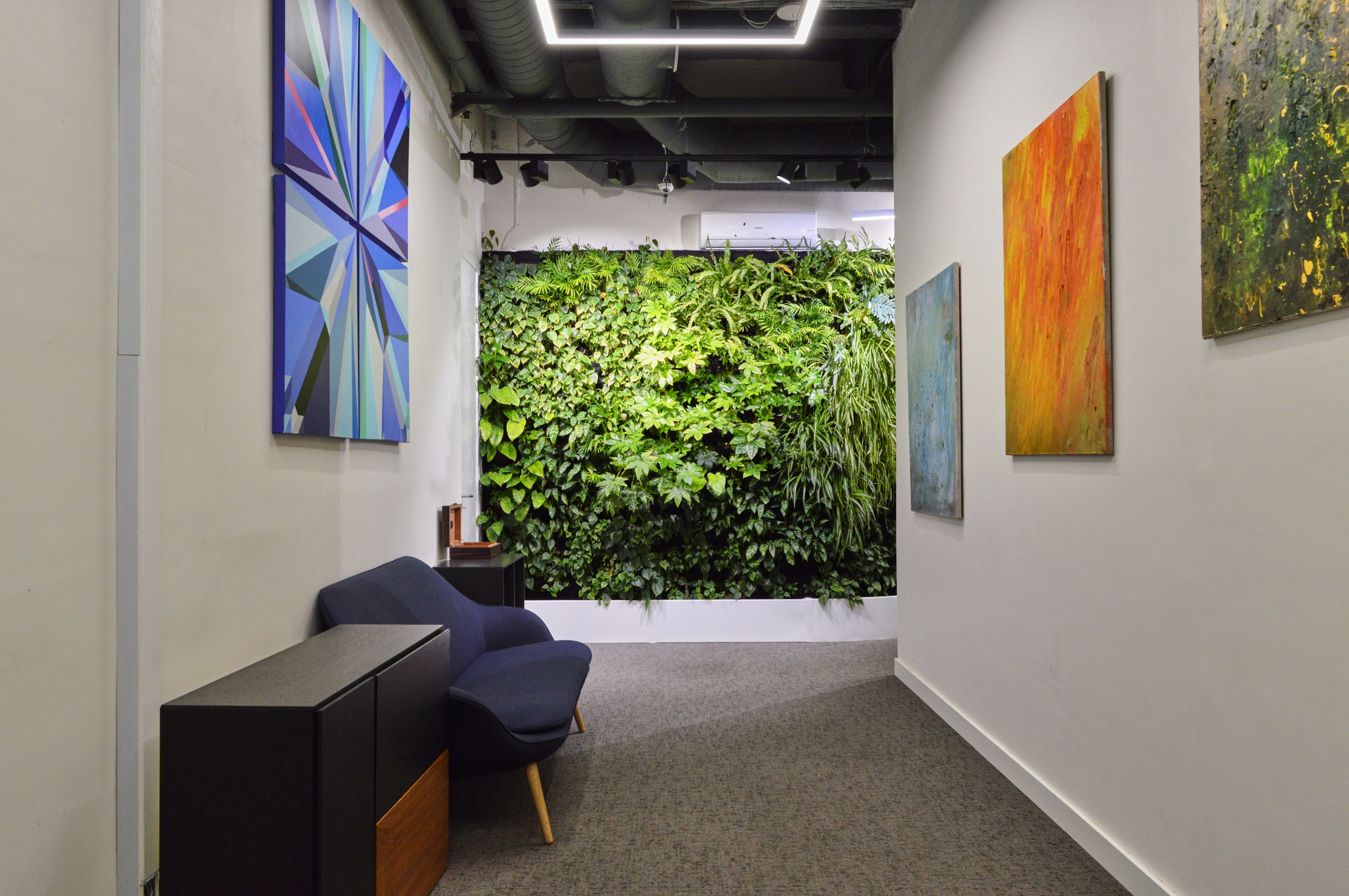 Озеленение ГК Techo. Фото и видео съемка в Сочи Адлере Красной поляне