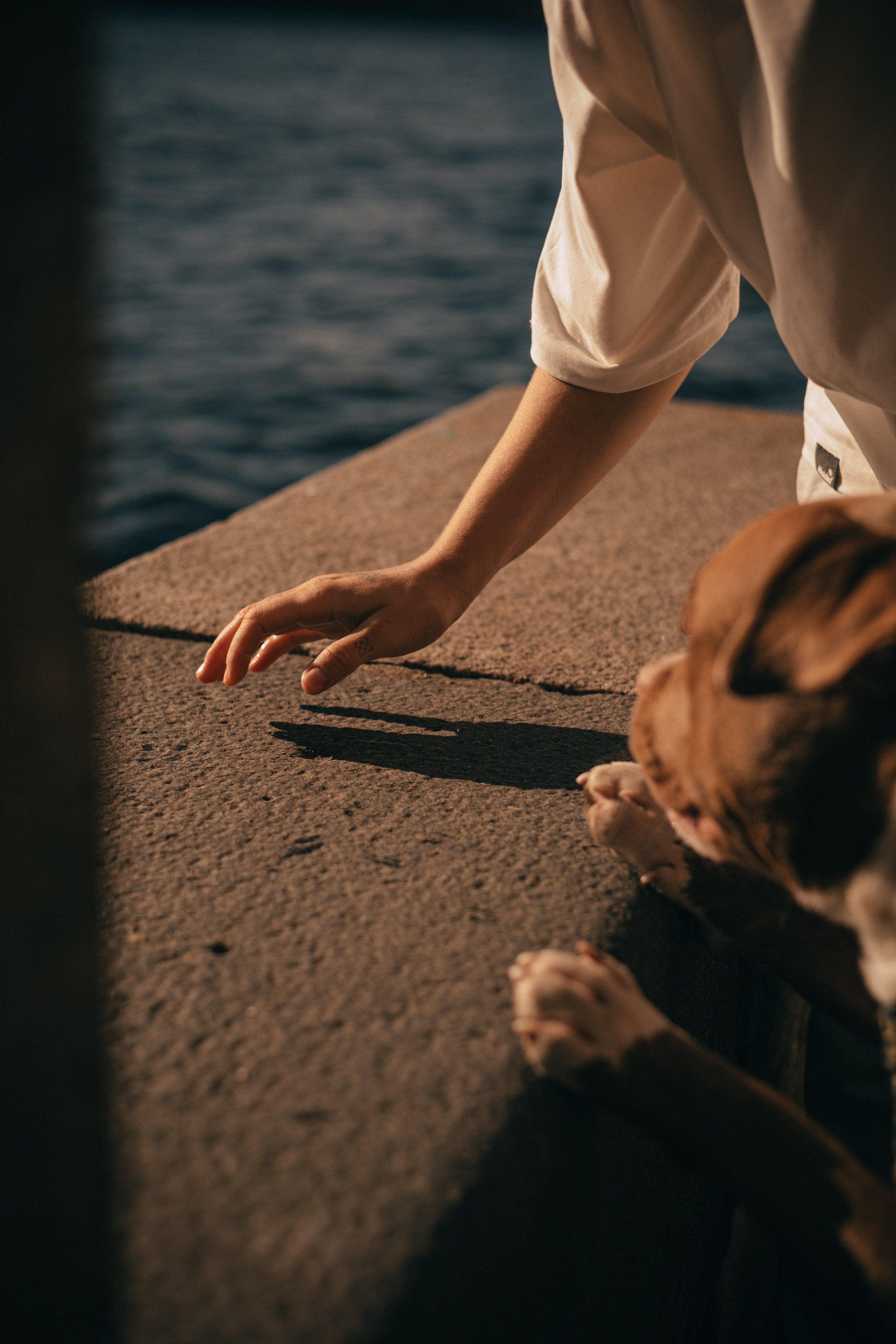 Анжела & Арес. Фотограф — анималист •love-story•|Санкт-Петербург