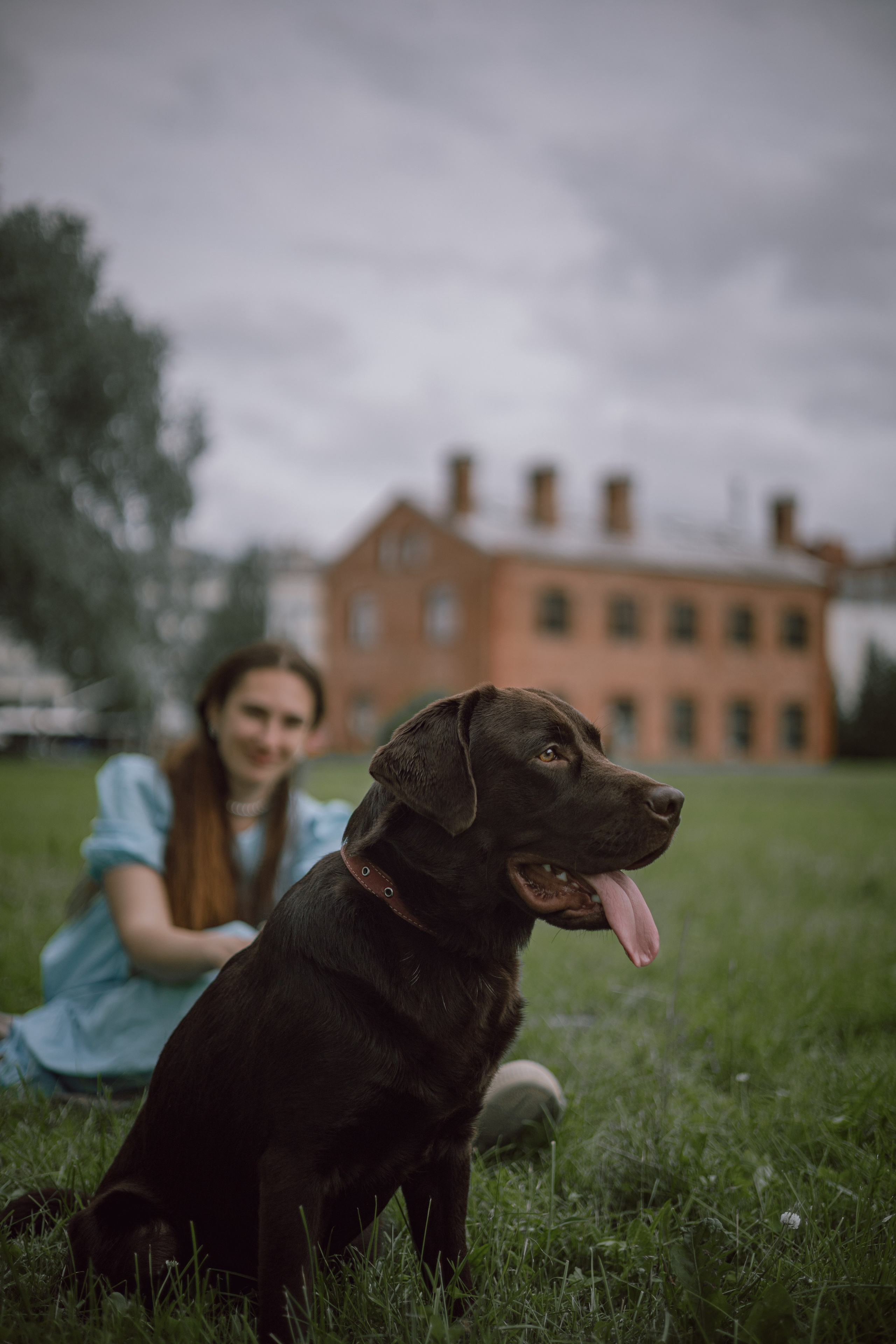 Оля и шоколадный Тимофей. Фотограф — анималист •love-story•|Санкт-Петербург