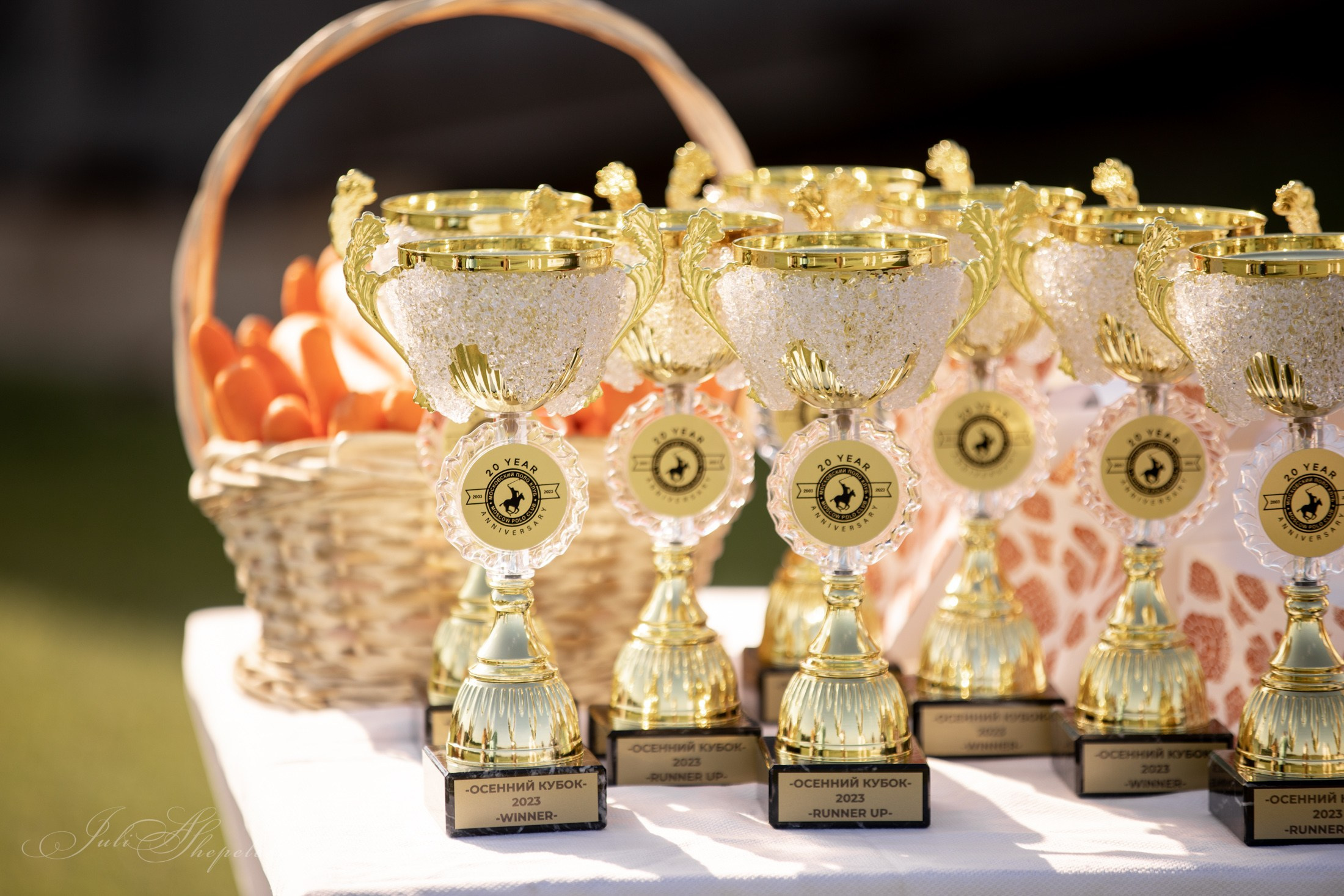 Осенний кубок по конному поло. Детская Конная фотография в Москве Юлия Шепелева